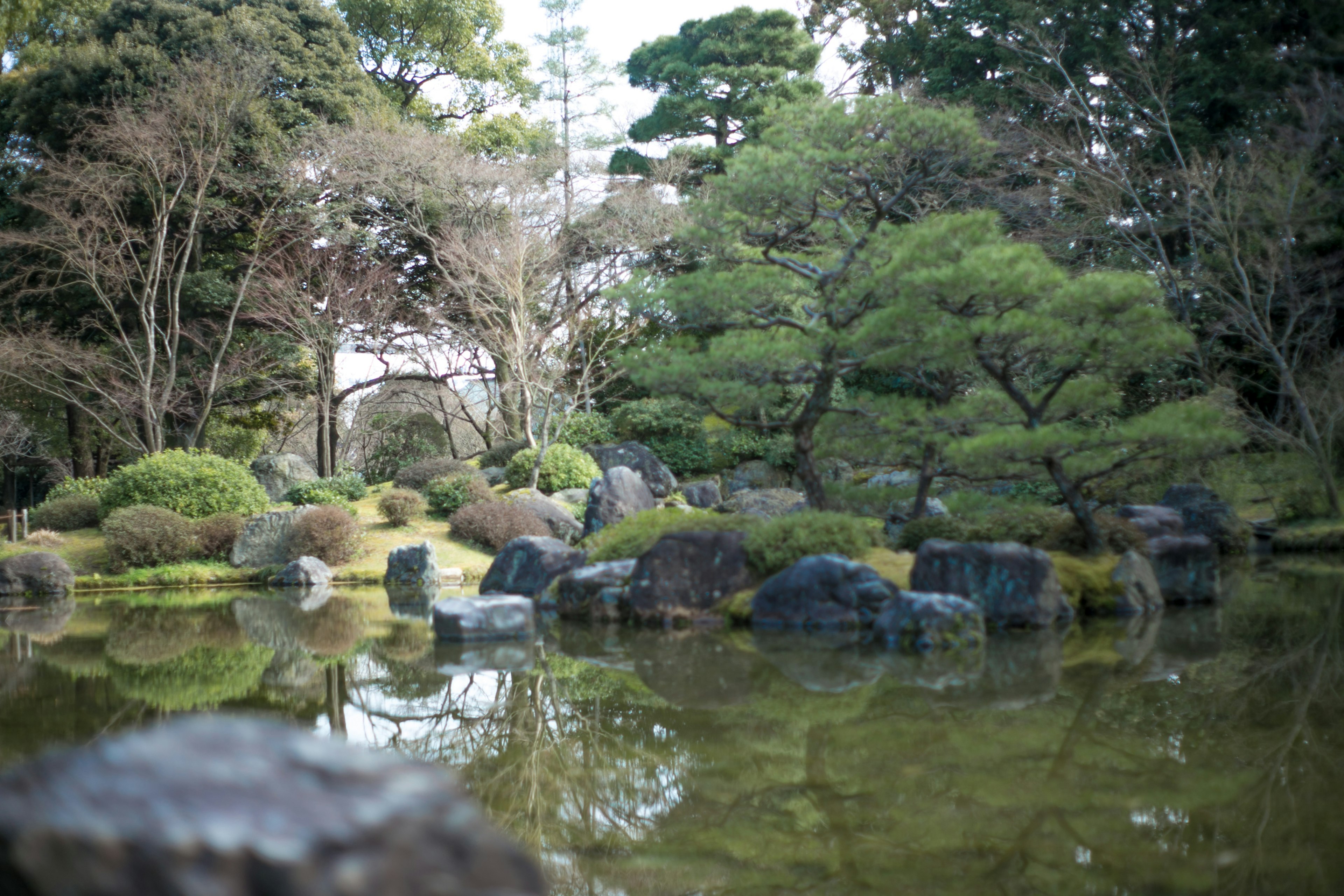 静かな日本庭園の景色 水面に映る緑の木々と岩