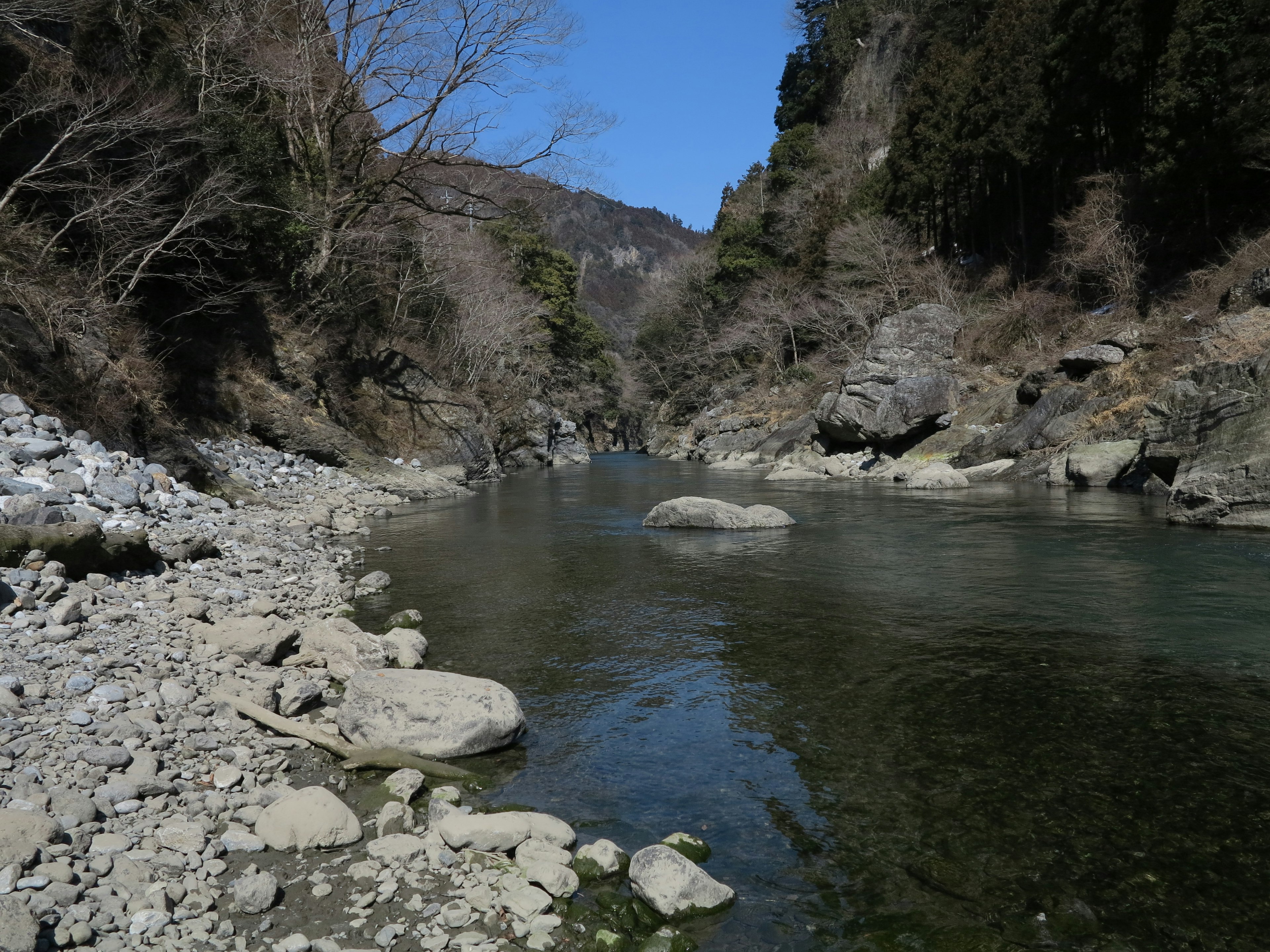 宁静的河流风景，岩石和树木