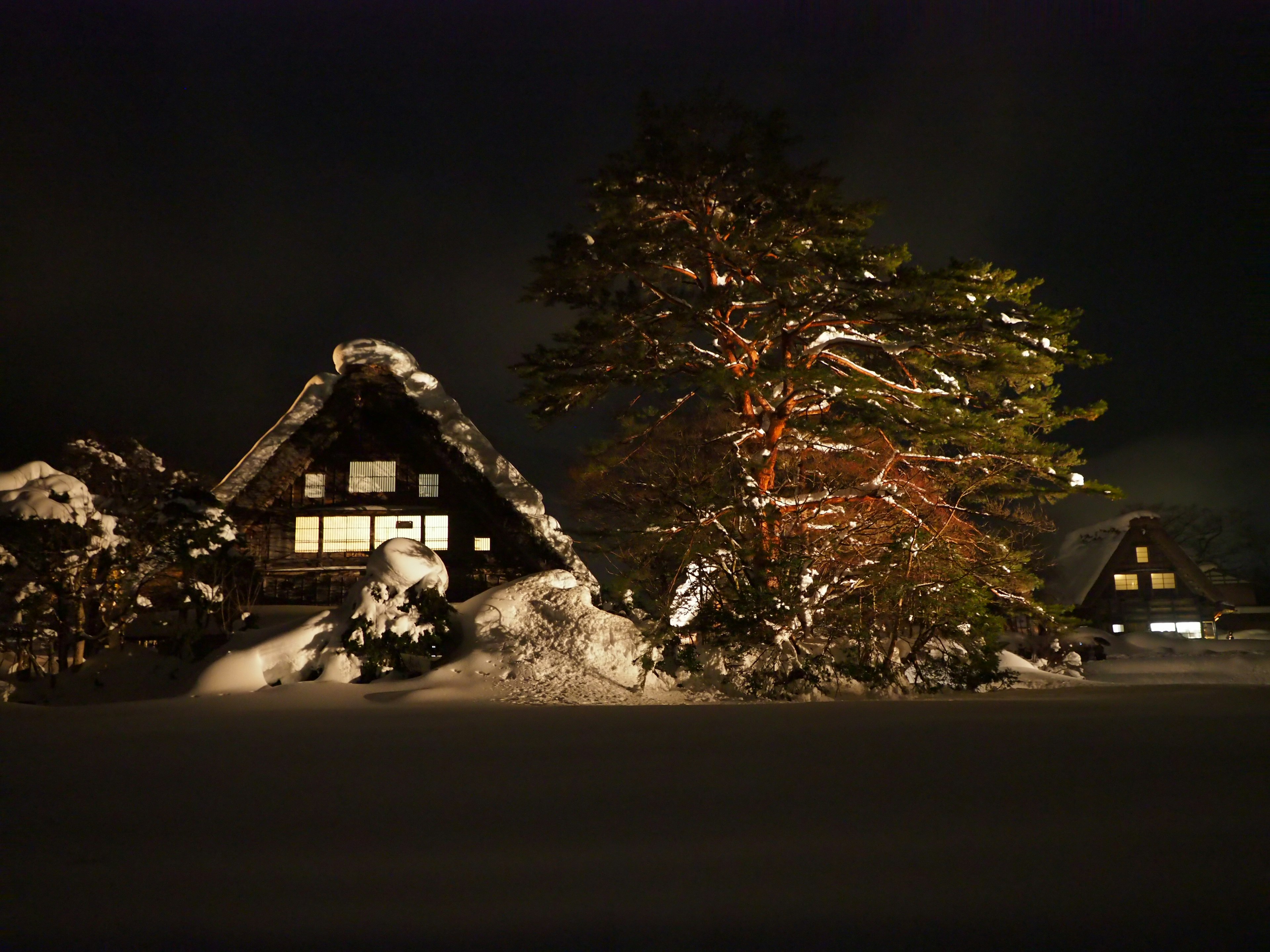 Vista notturna di case e alberi coperti di neve