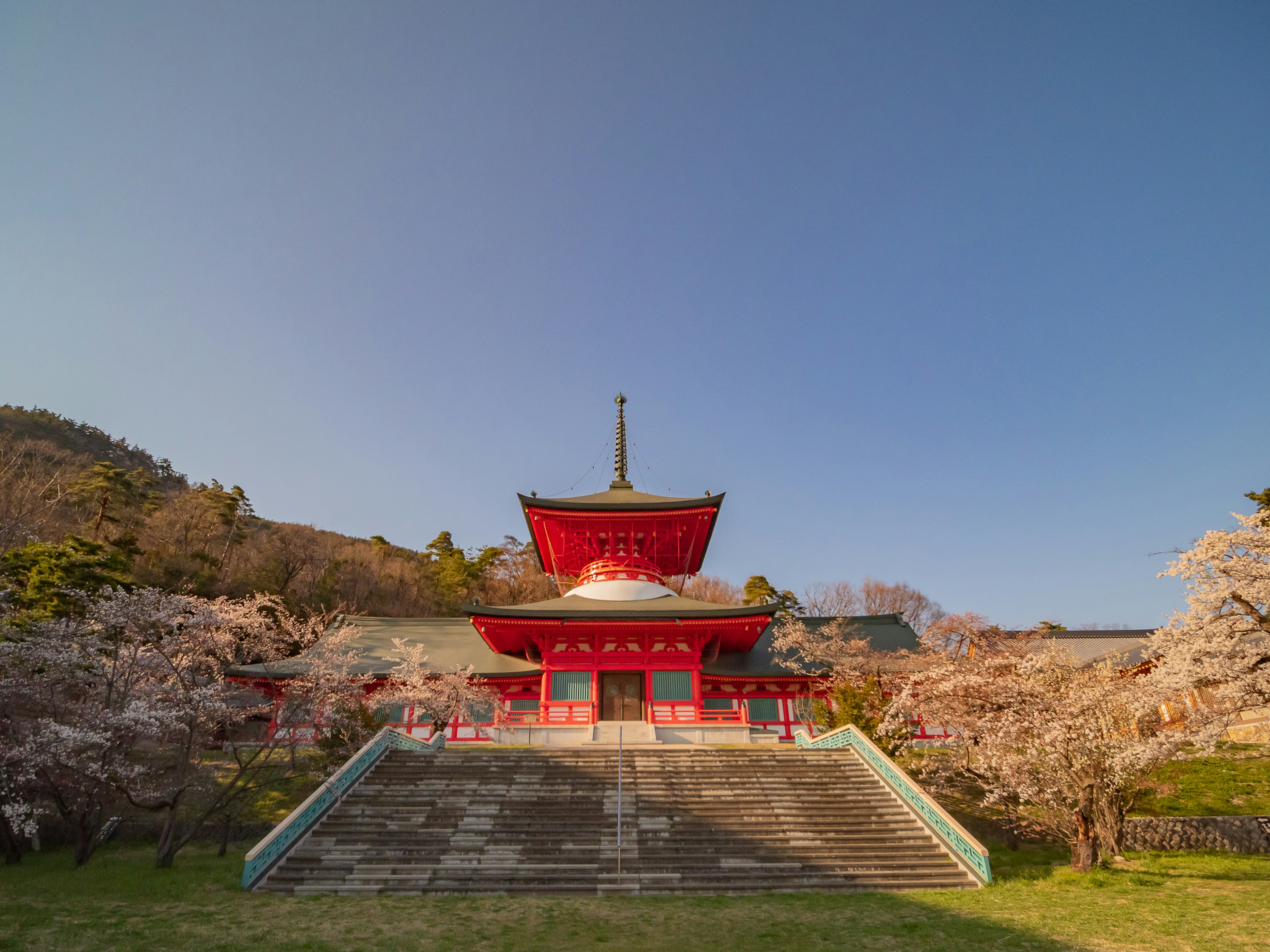 Red temple surrounded by cherry blossom trees