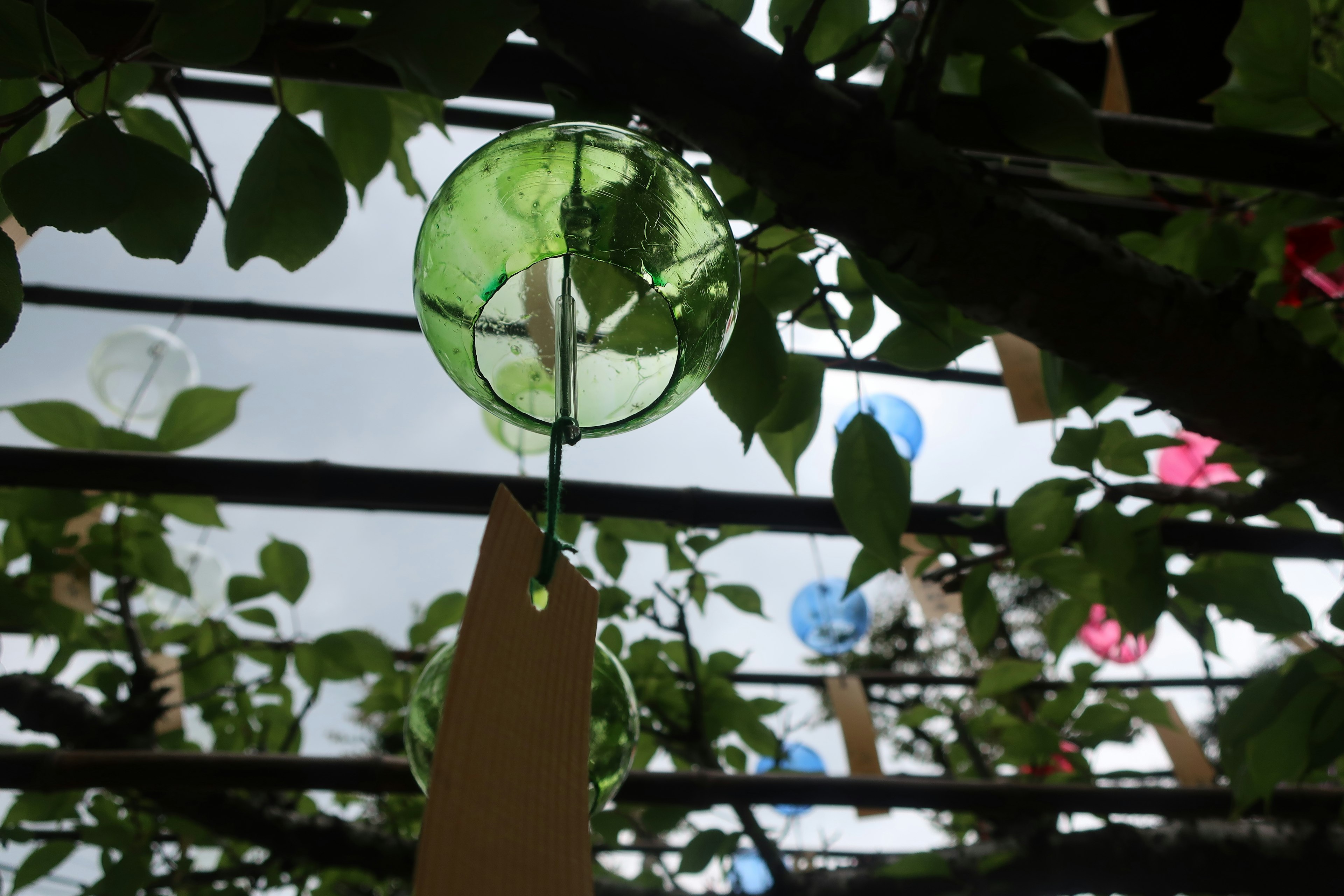 Green wind chime hanging among leaves