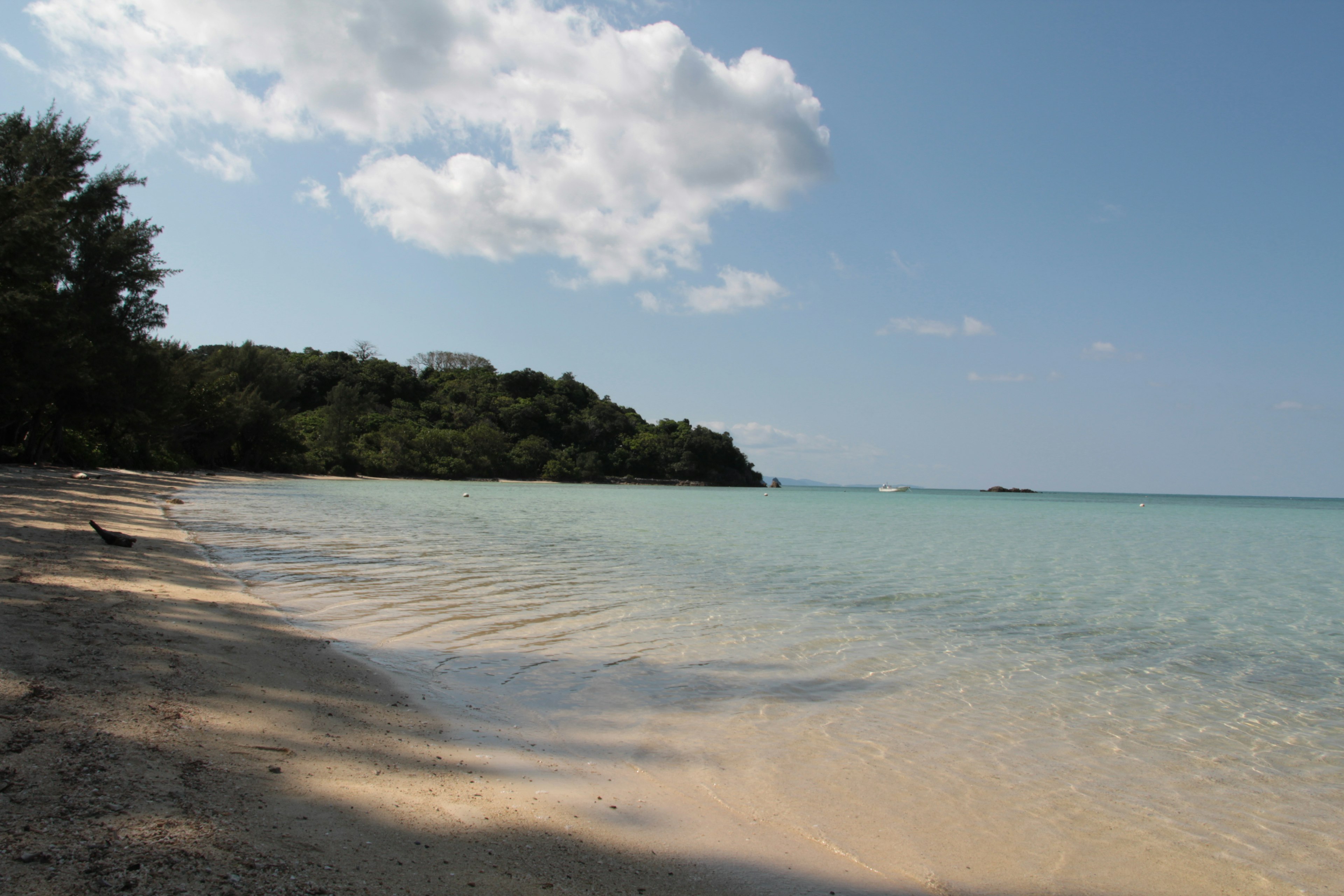 宁静的海滩景观，平静的海洋和蓝天