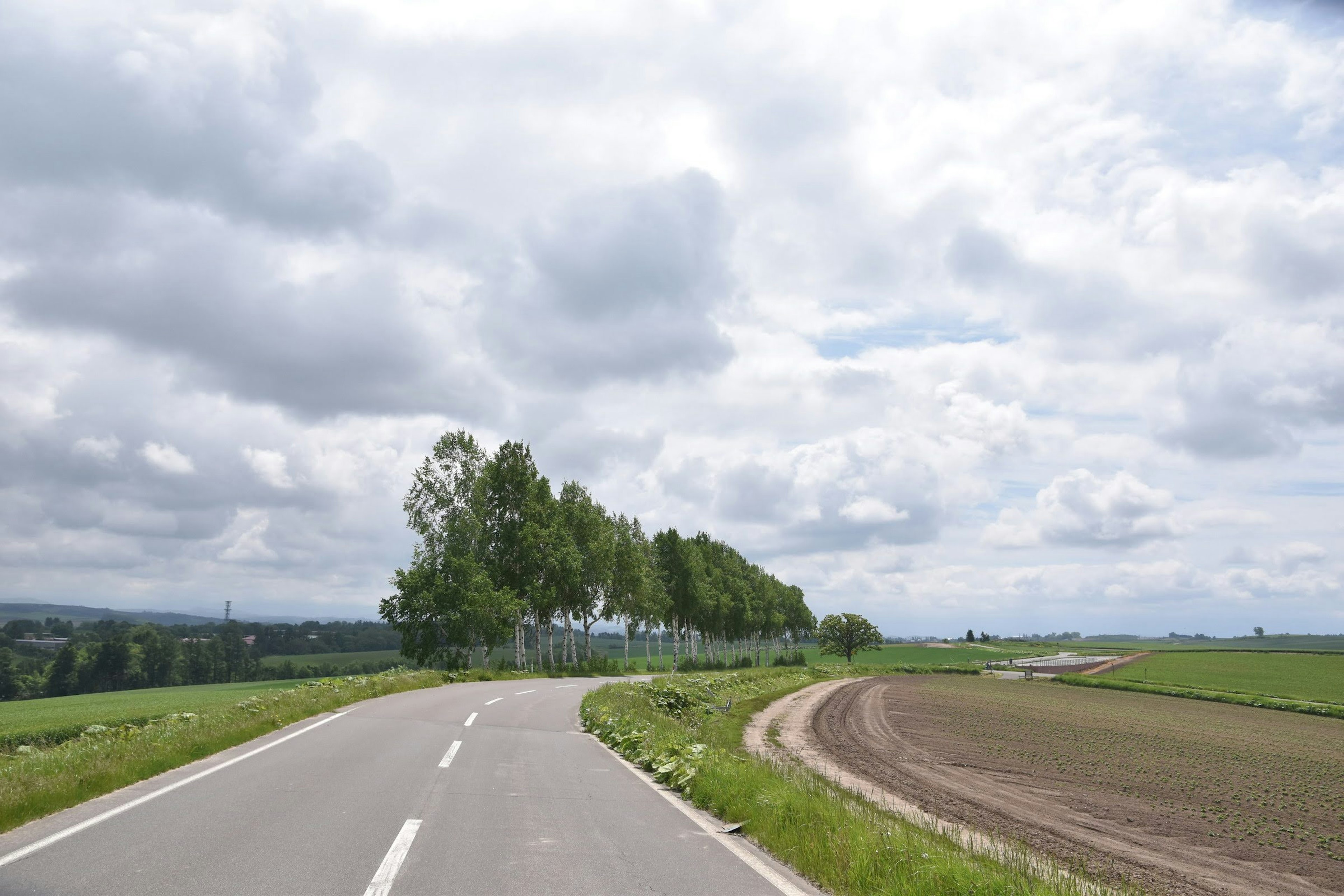 Route courbe entourée d'arbres verts et de champs vastes