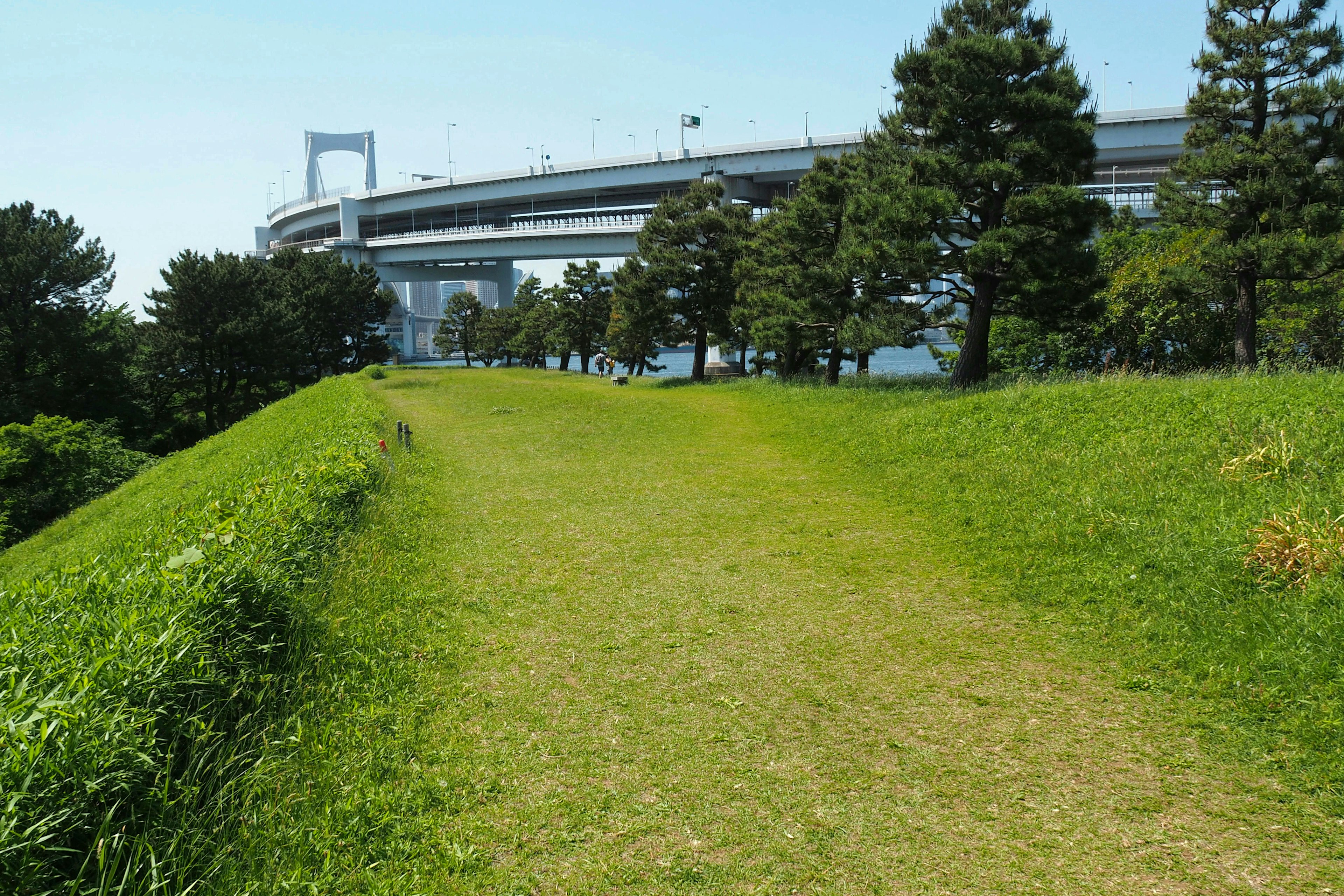 A grassy path leading to a bridge with trees on either side