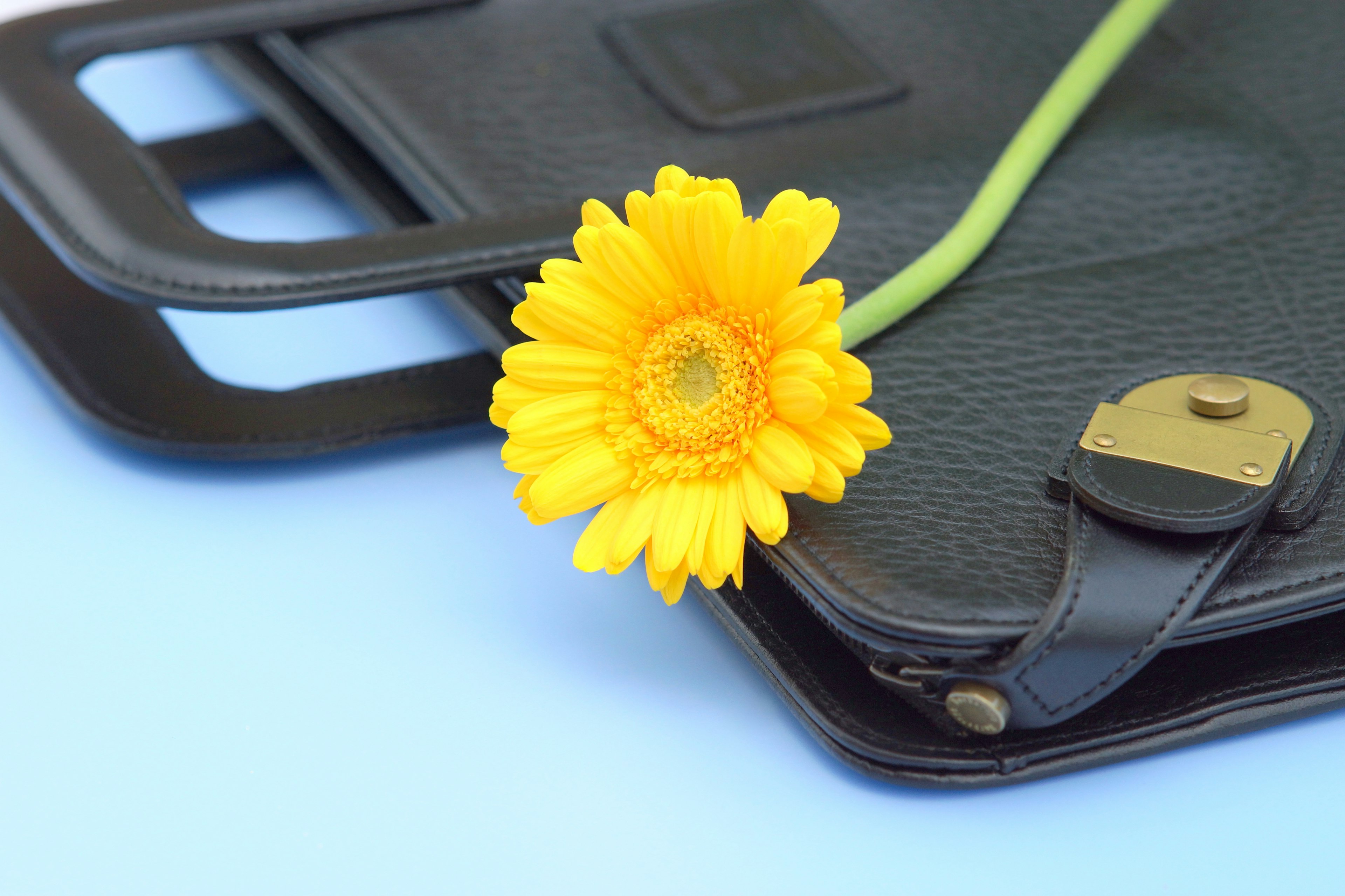 Fleur jaune posée sur un sac professionnel noir