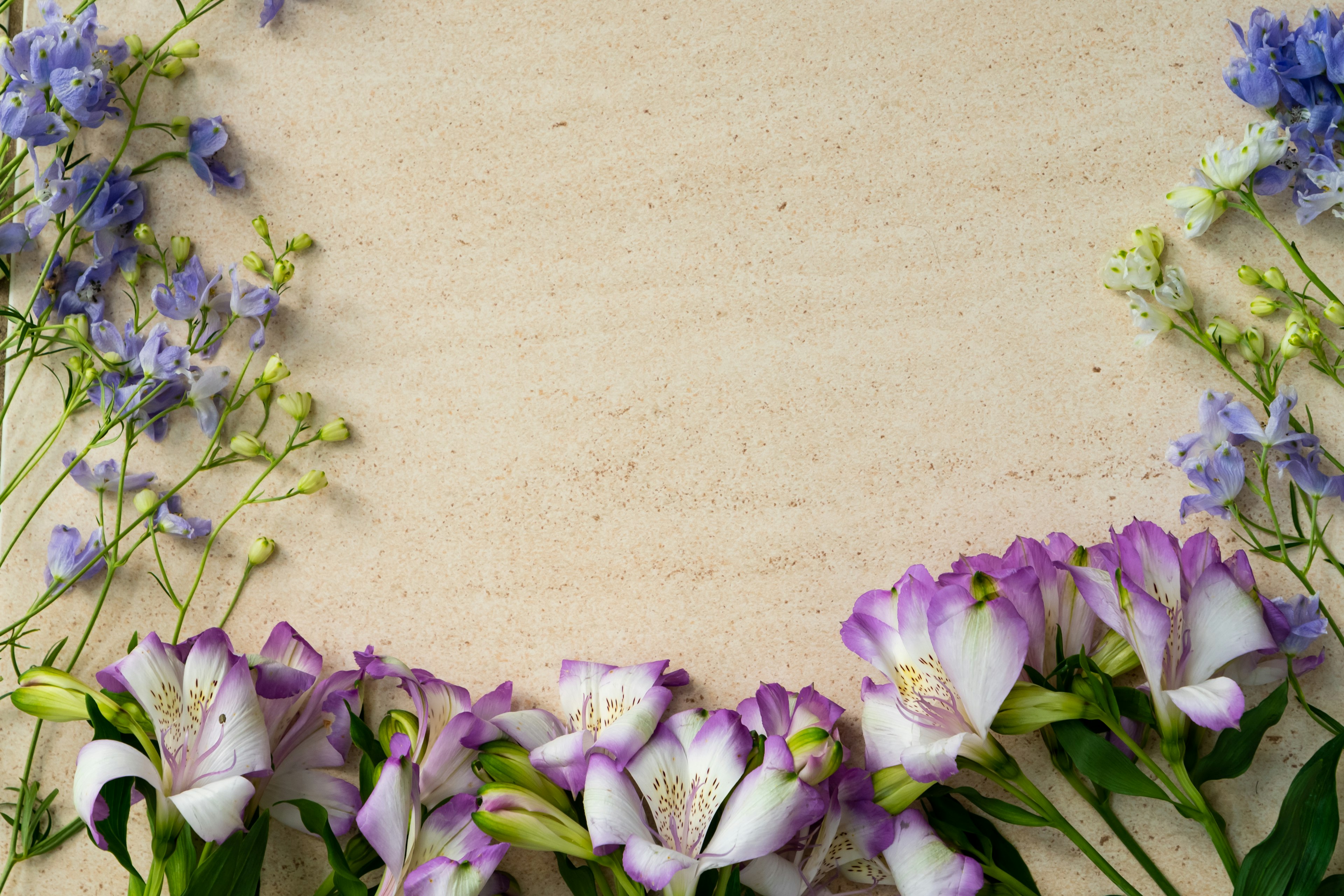 Purple and blue flowers arranged around a cream-colored background