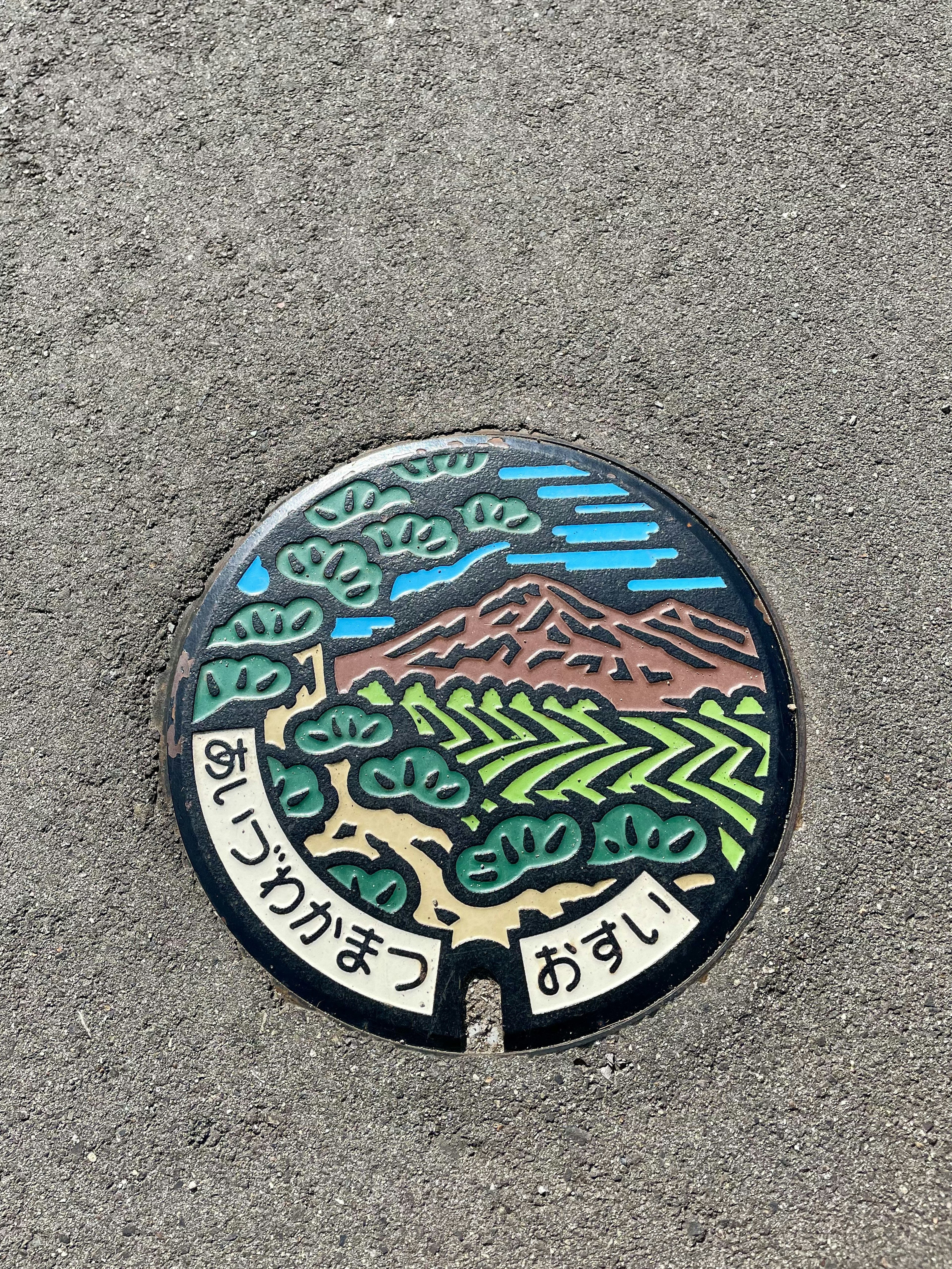 Colorful manhole cover depicting a landscape and text