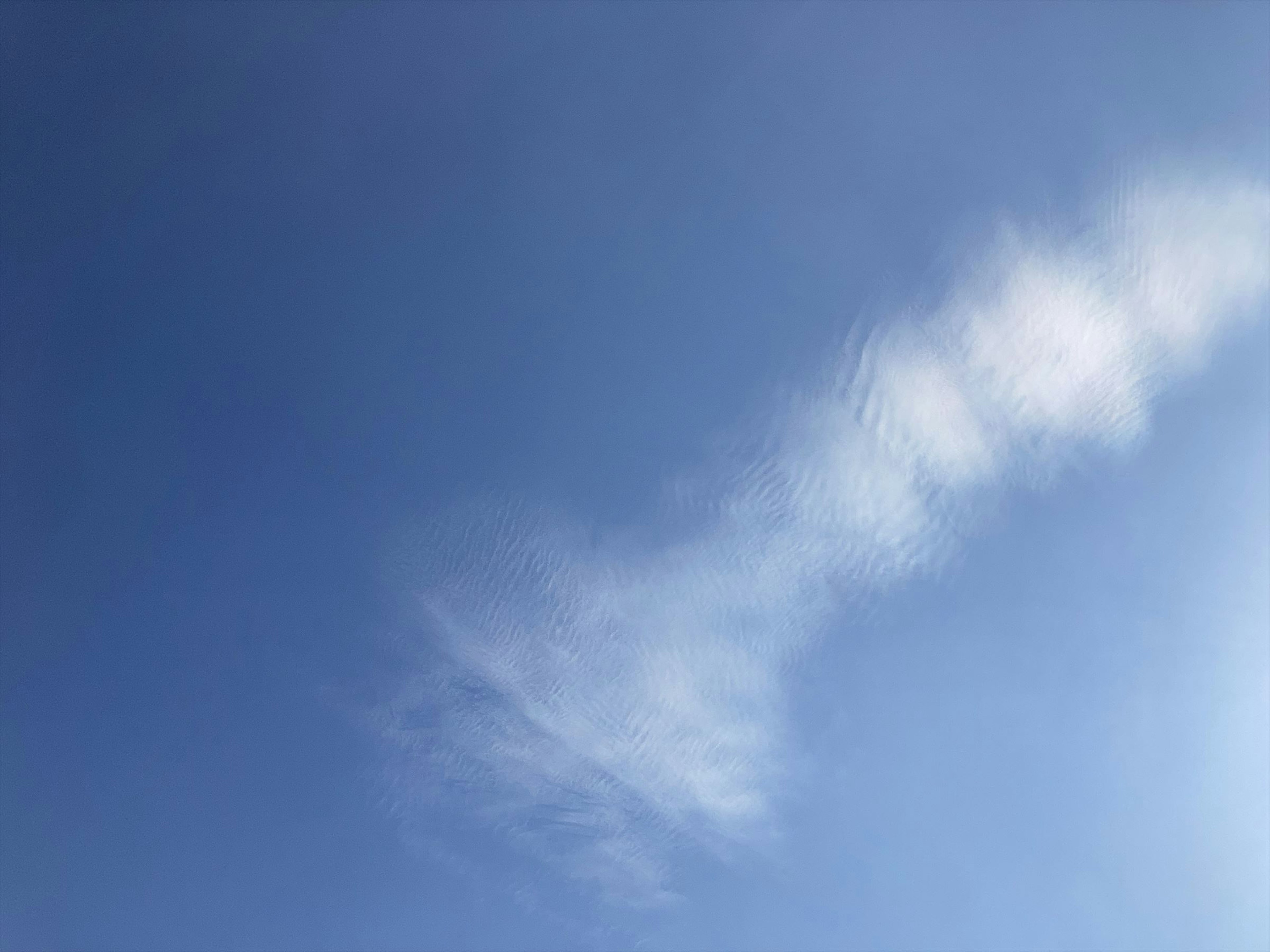 Nuages blancs flottants dans un ciel bleu