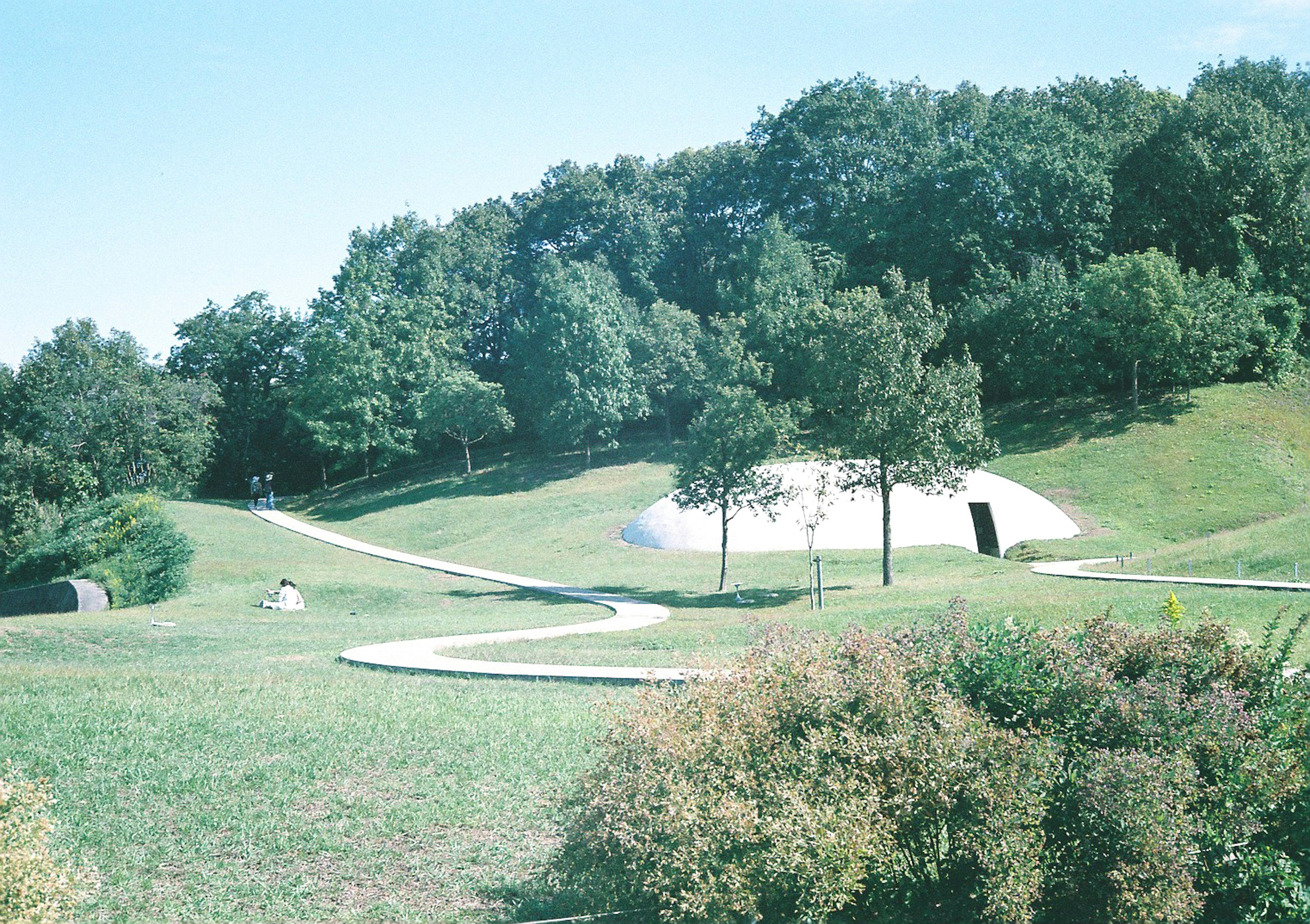 Modern white building in a lush green park with winding pathway