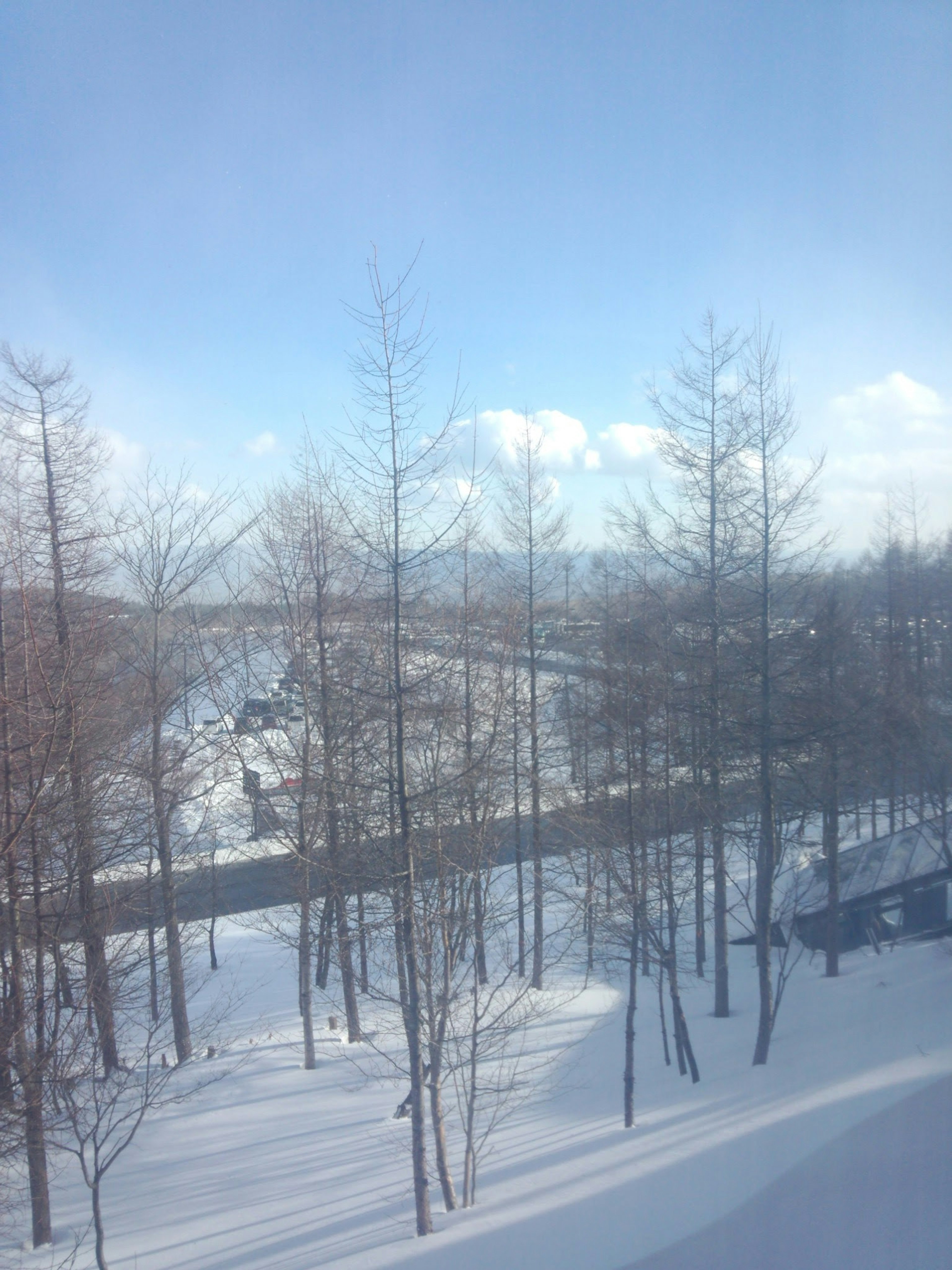 Paysage enneigé avec des arbres et un ciel bleu clair