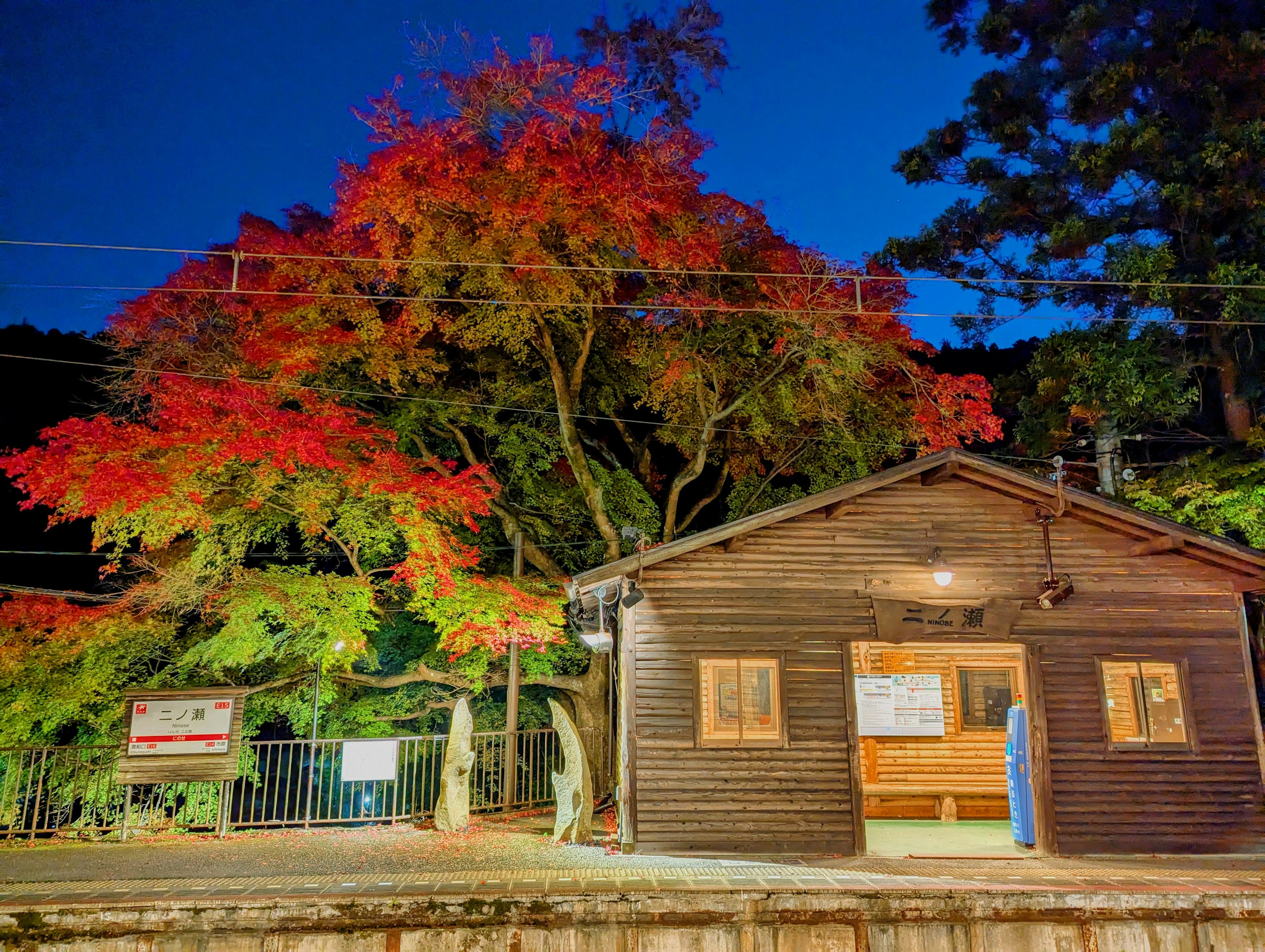 夜晚的秋叶和木屋的风景