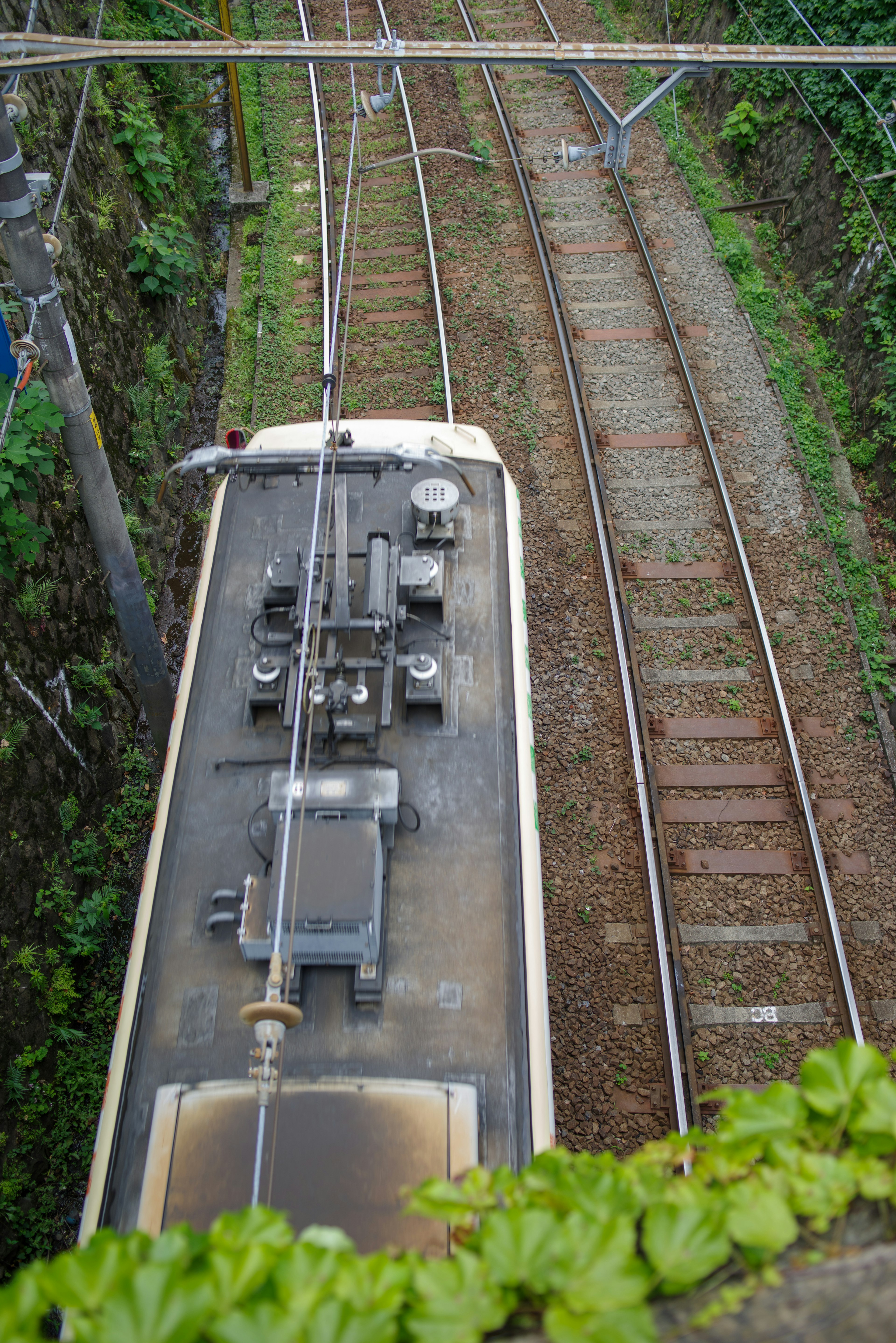 มุมมองจากด้านบนของรถไฟบนรางที่ล้อมรอบด้วยพืชสีเขียว