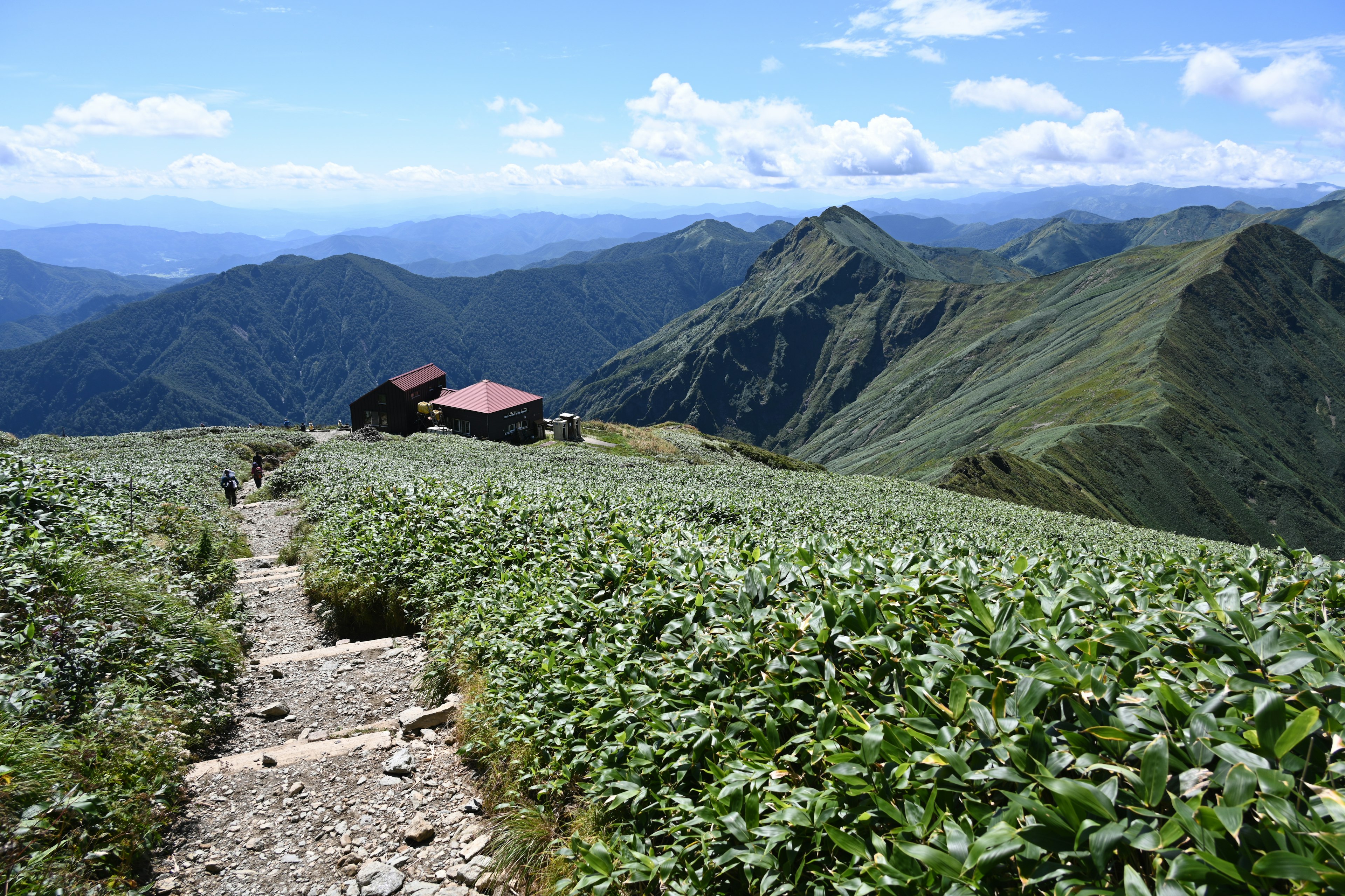 Paysage de montagne avec un chemin en pierre menant à une cabane entourée de verdure