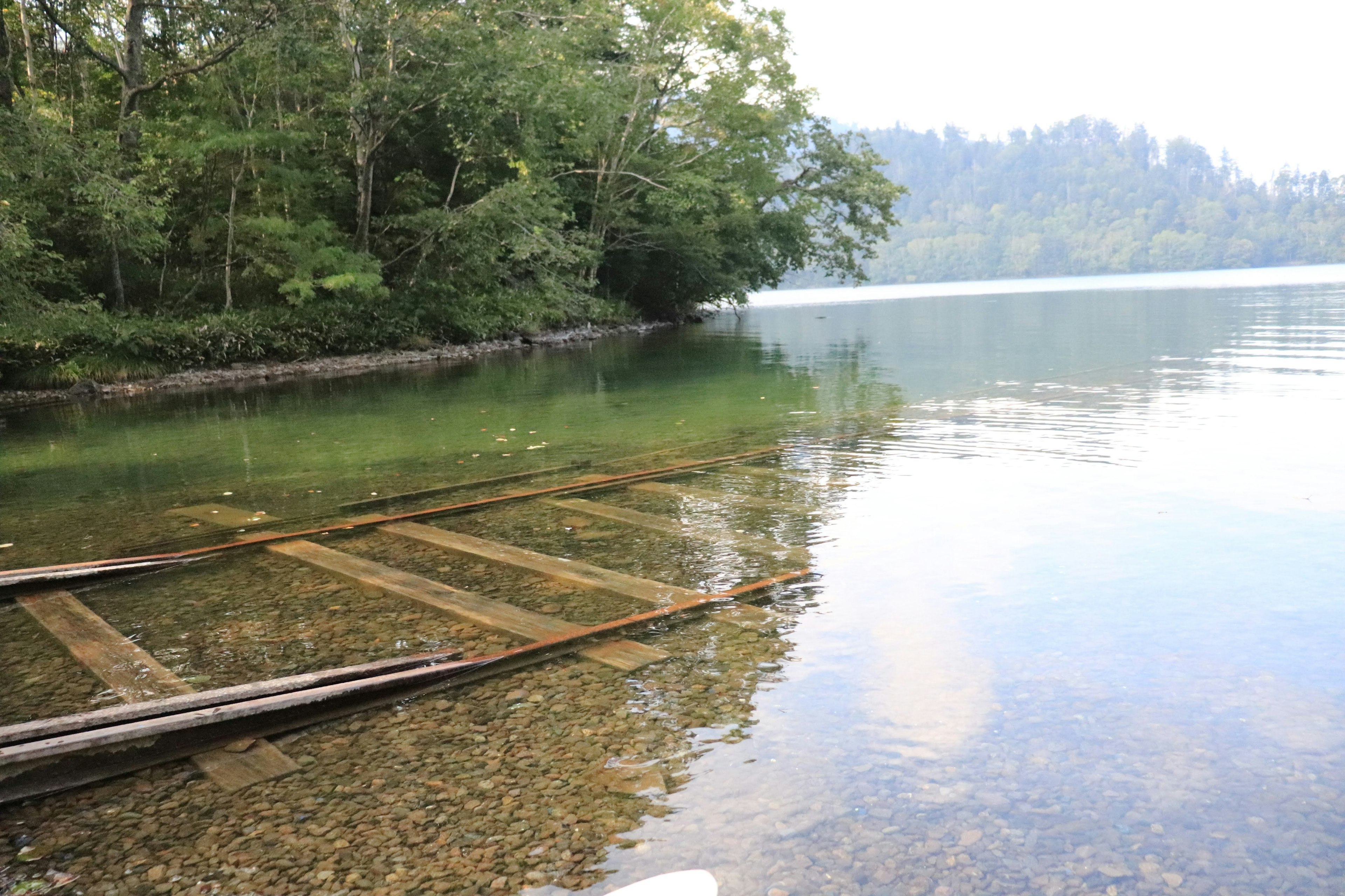 Quai en bois partiellement immergé dans un lac calme entouré d'une verdure luxuriante