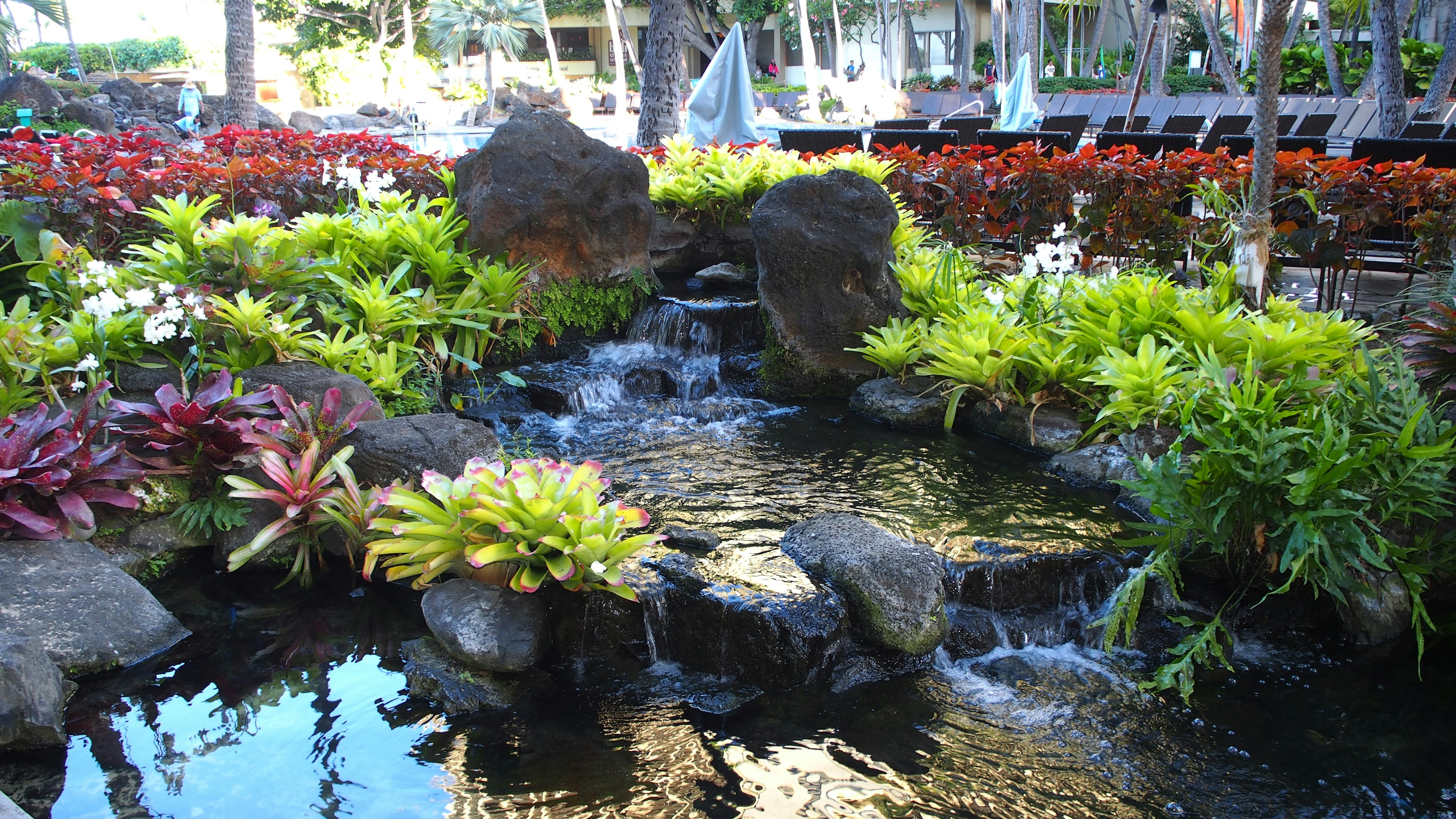 美しい庭の水の流れと緑の植物がある風景