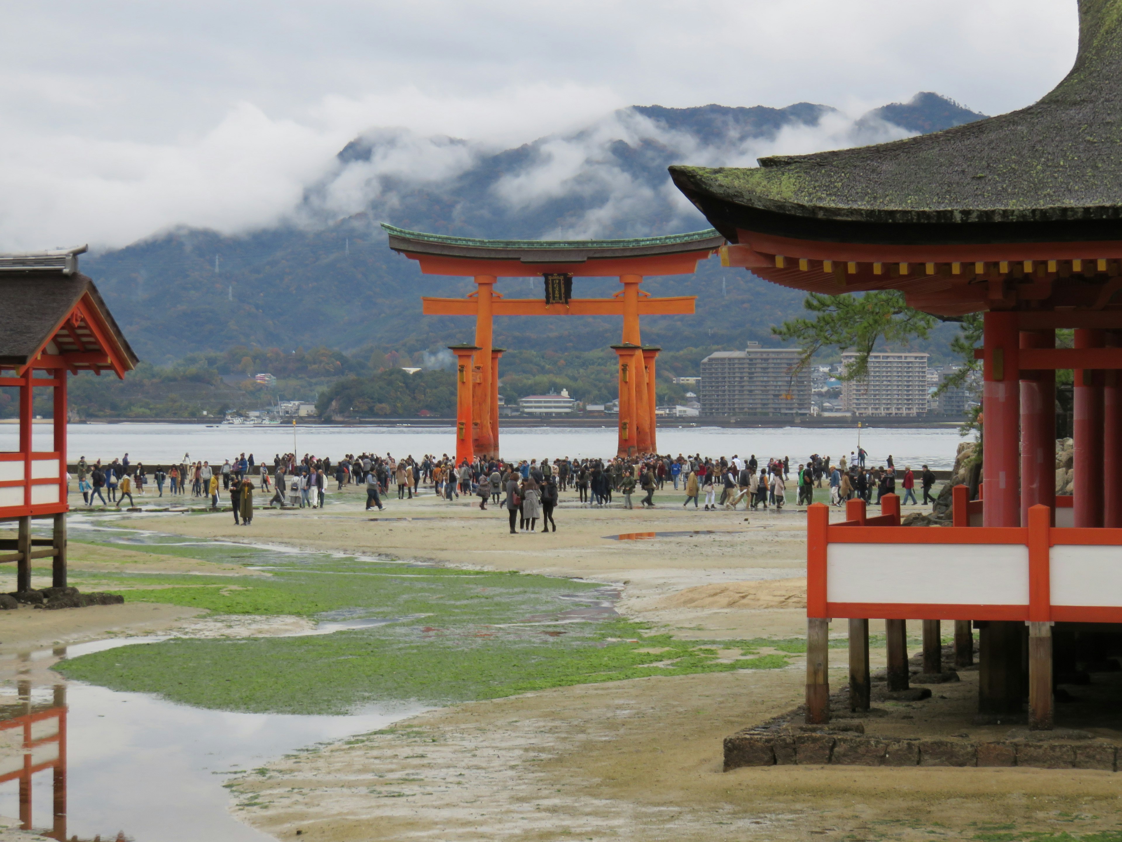 Vue de la célèbre porte torii du sanctuaire d'Itsukushima avec des touristes