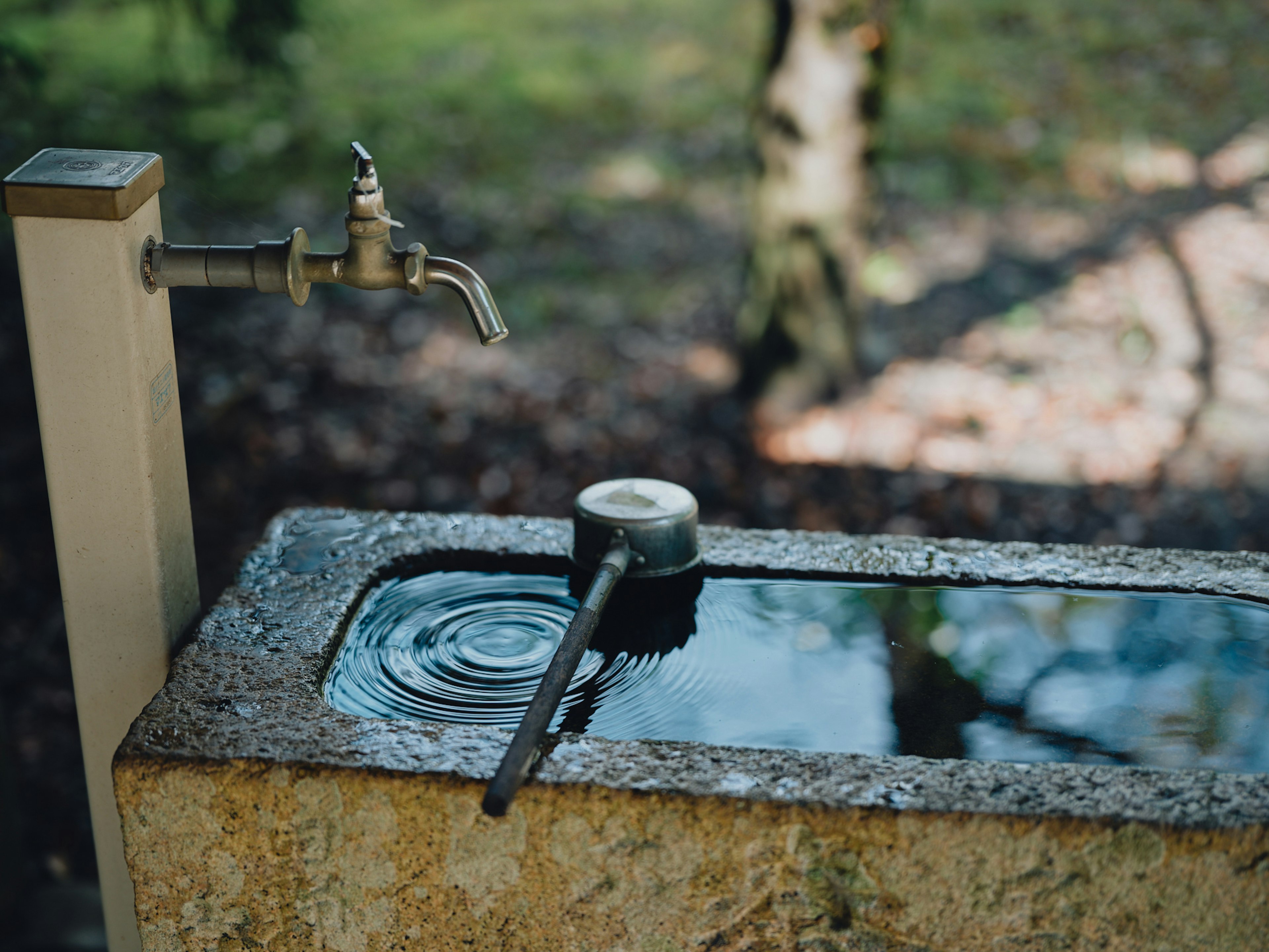 Old stone water trough with flowing water and natural surroundings