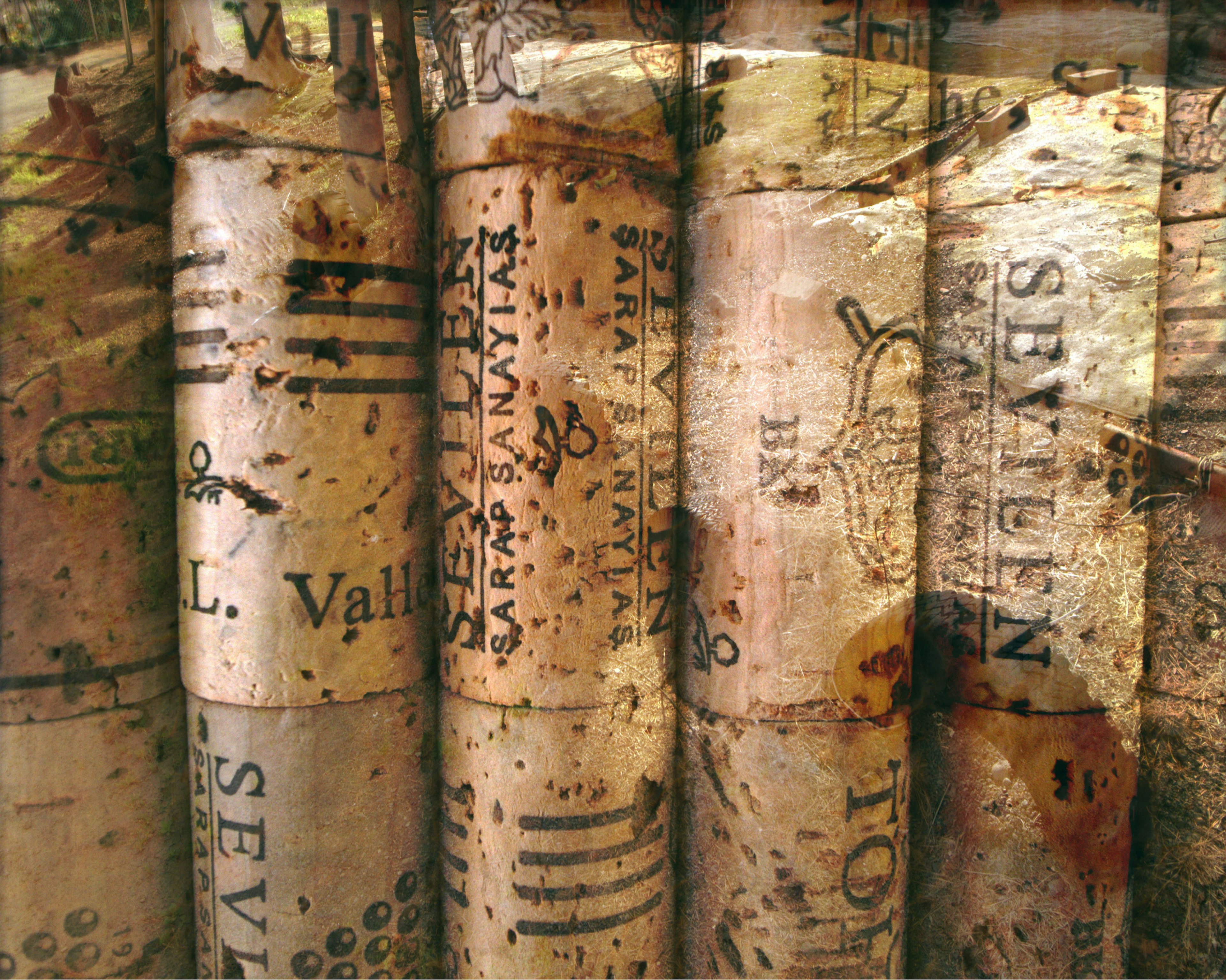 Close-up of wine corks featuring various labels and markings