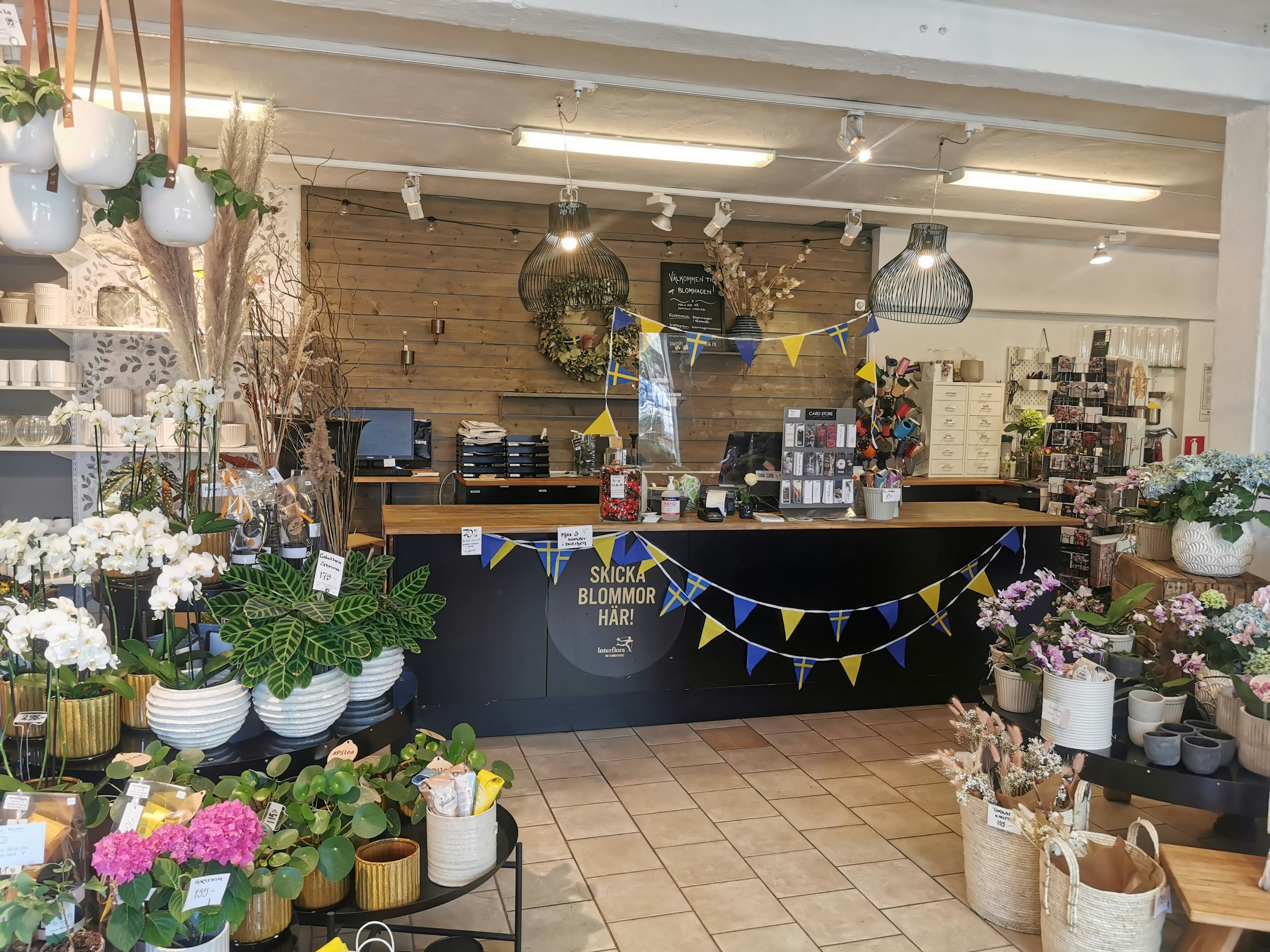 Interior de una floristería con flores coloridas y plantas exhibidas en el mostrador