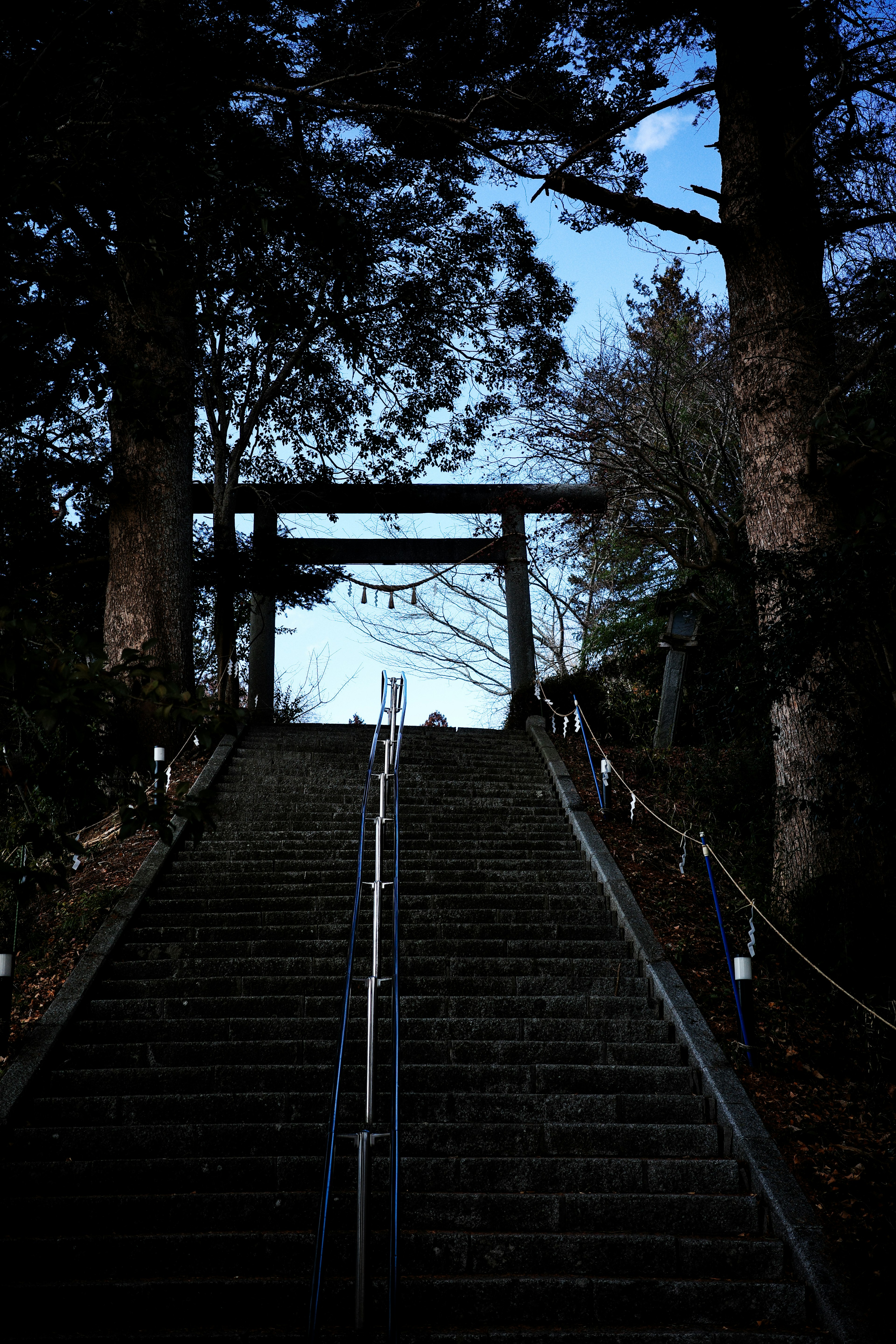 階段を上る神社の鳥居と木々が見える風景