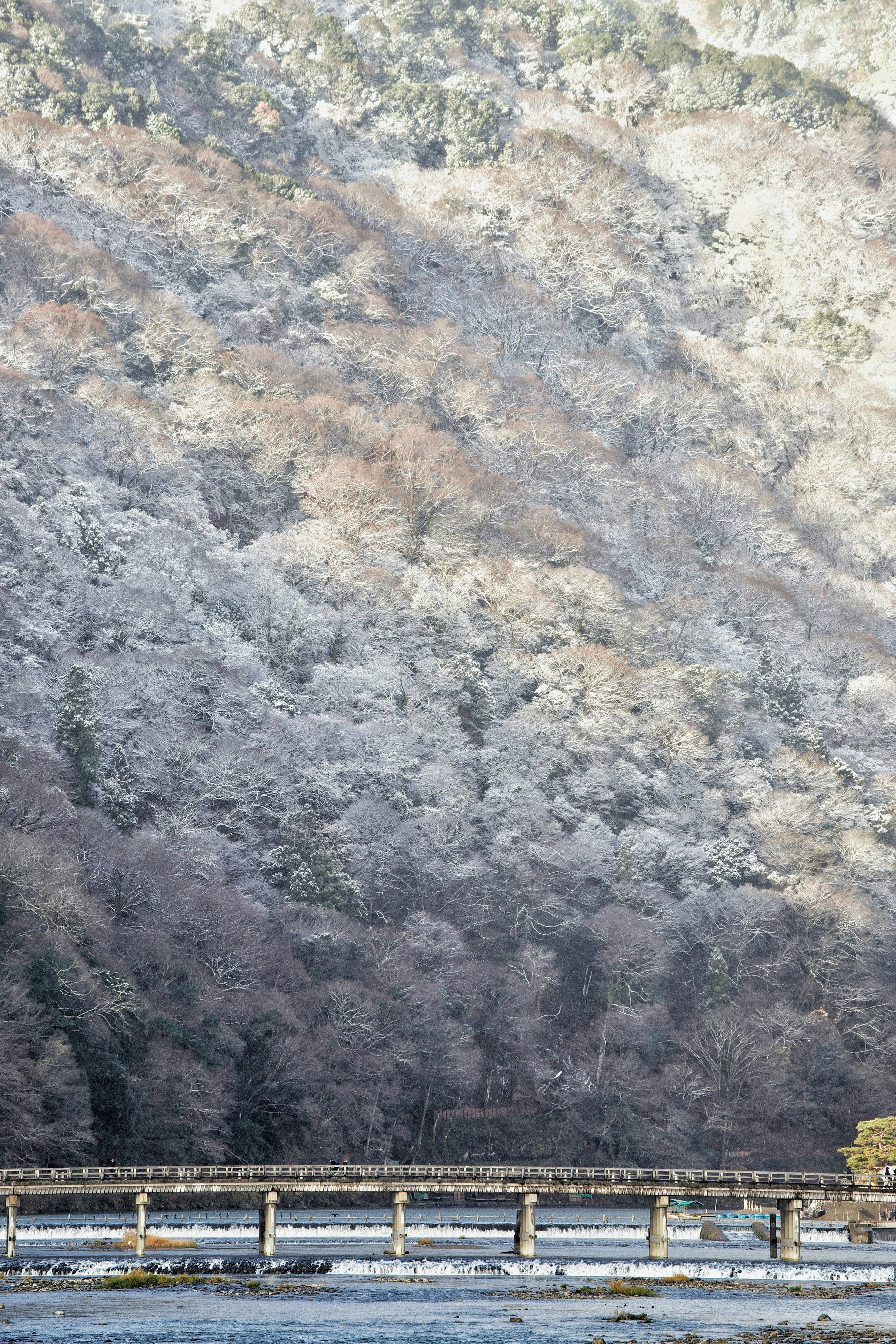 Puente de madera que cruza un río con colinas nevadas al fondo