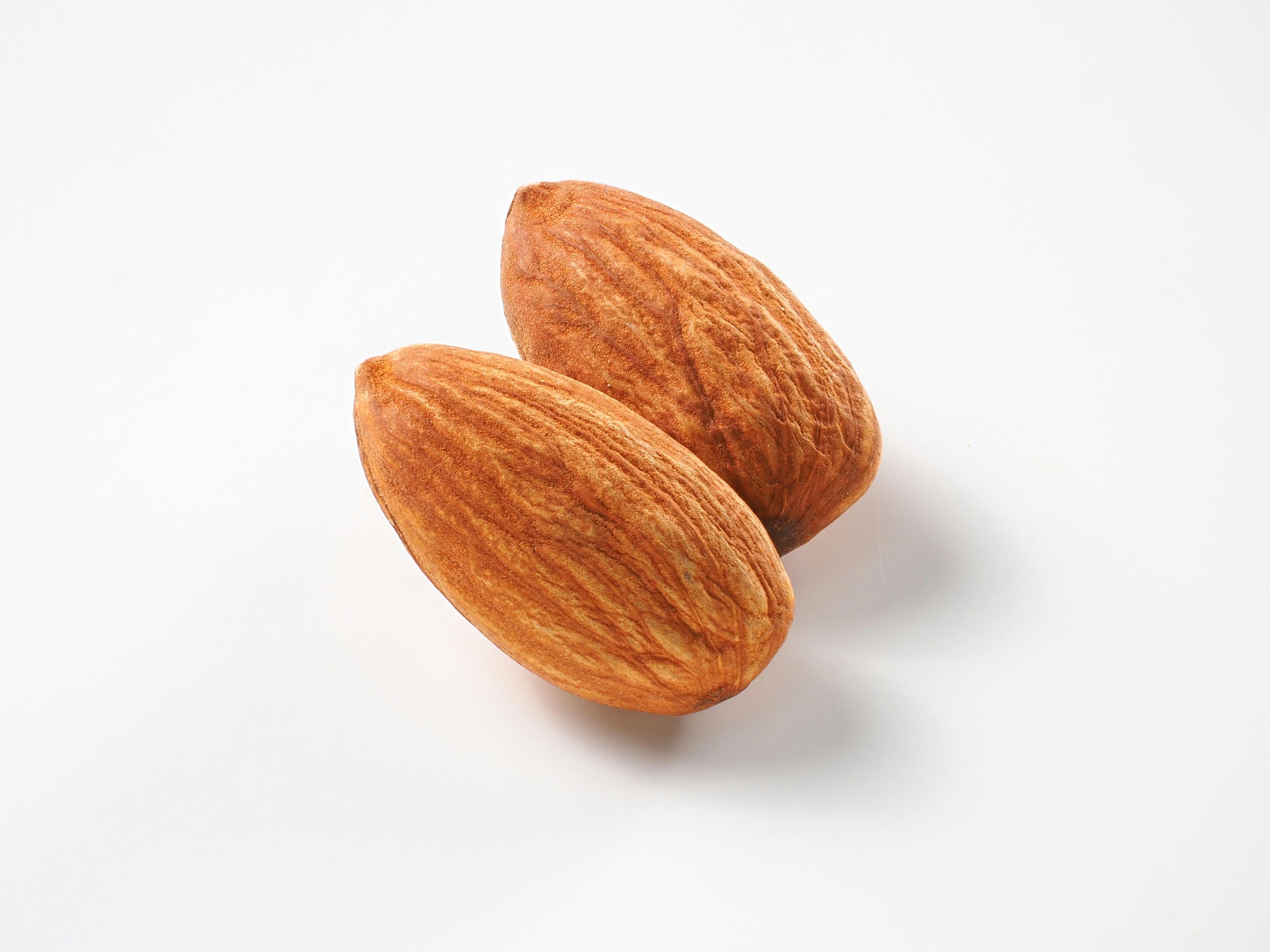 Two almond shells displayed on a white background