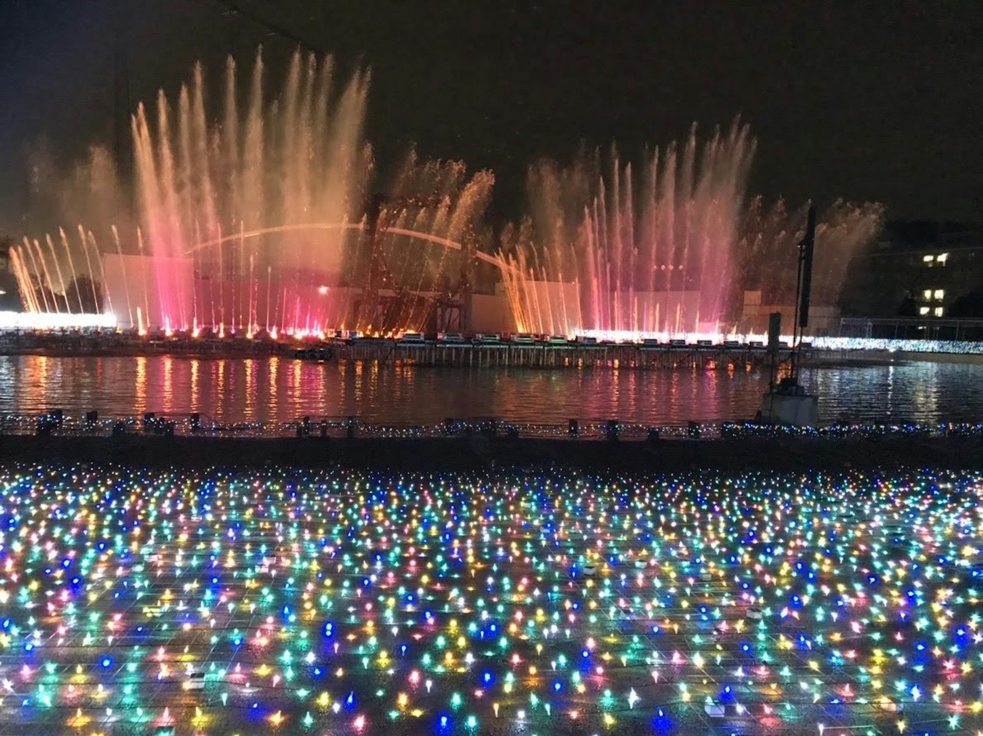 Spectacle de fontaines lumineuses colorées la nuit avec un premier plan vibrant