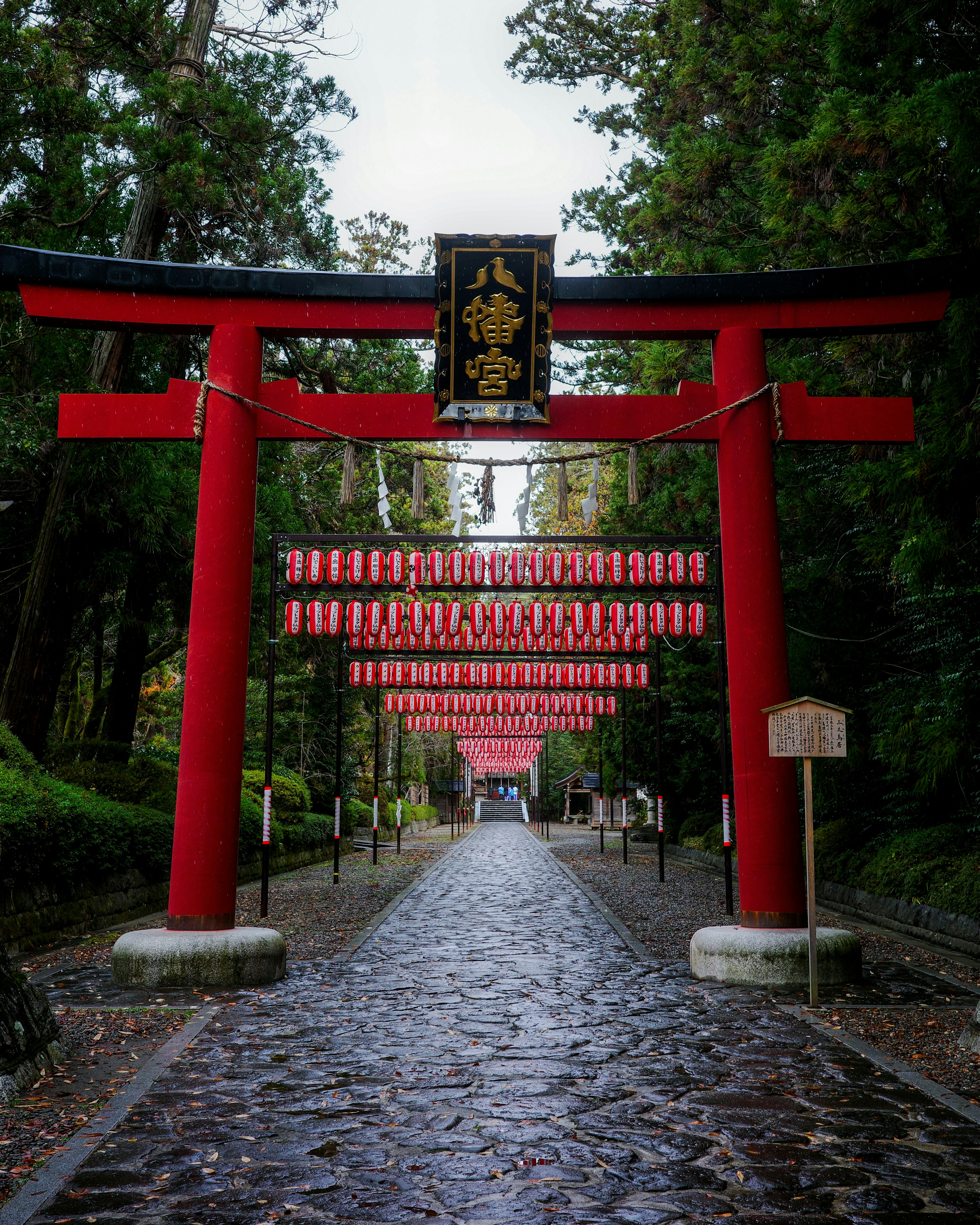 Allée bordée de torii rouges entourée de verdure luxuriante