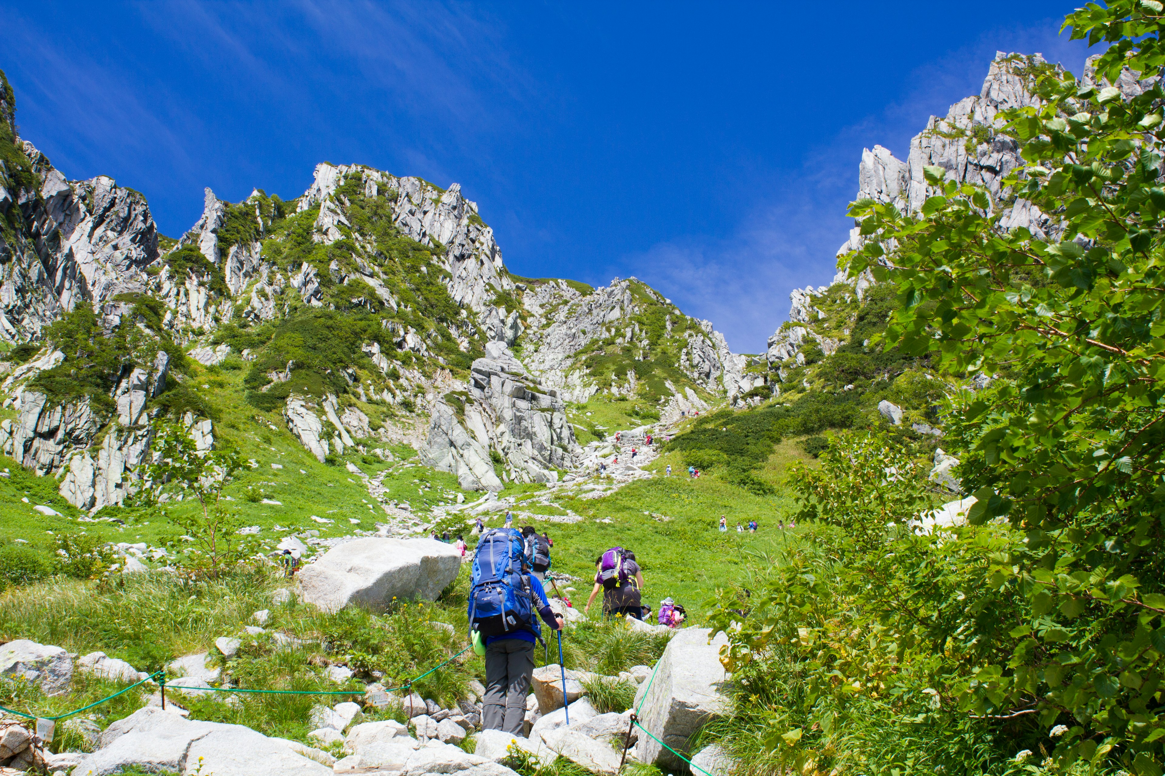 Hikers navigating a lush green mountain path