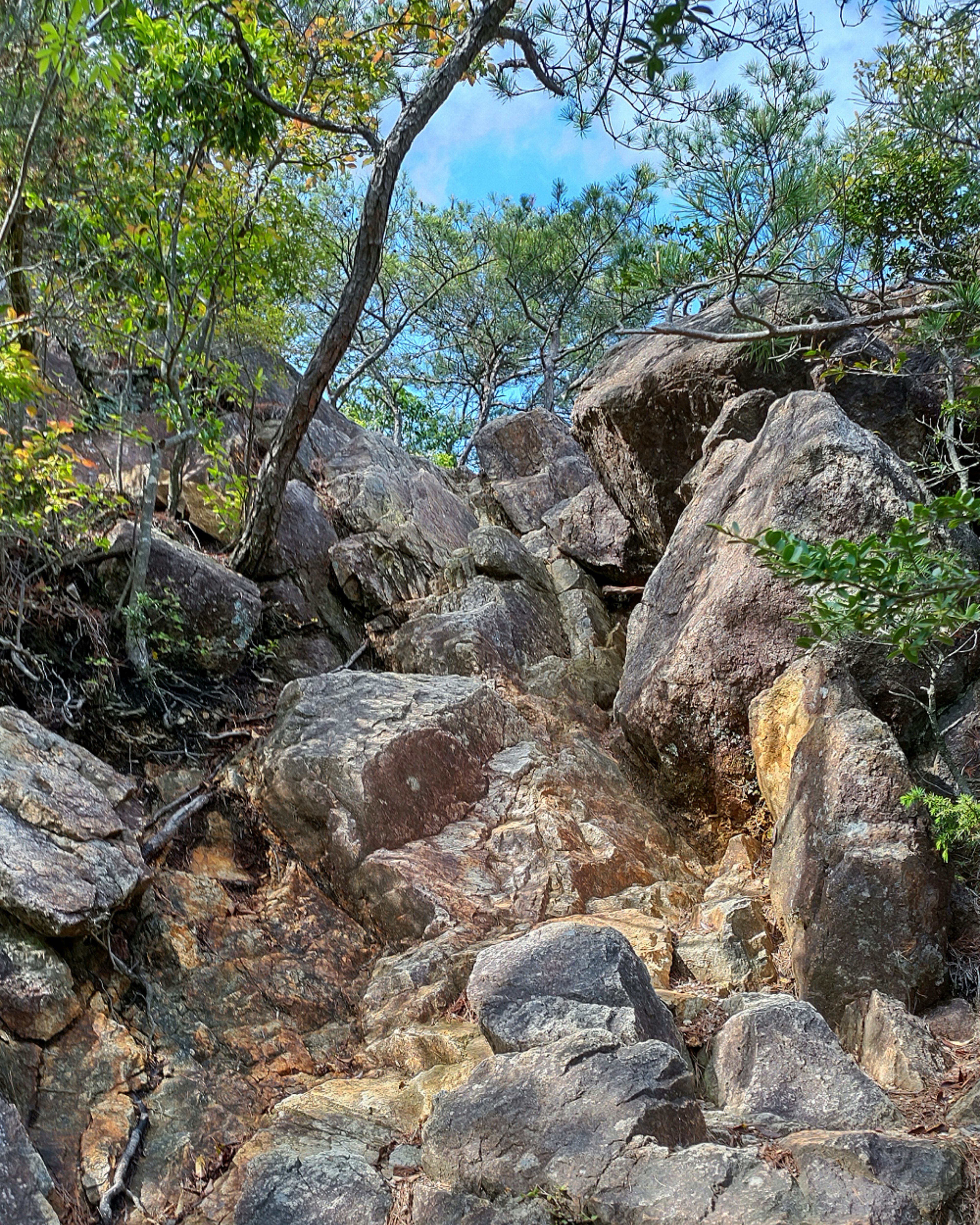 Natural landscape featuring rocks and green trees