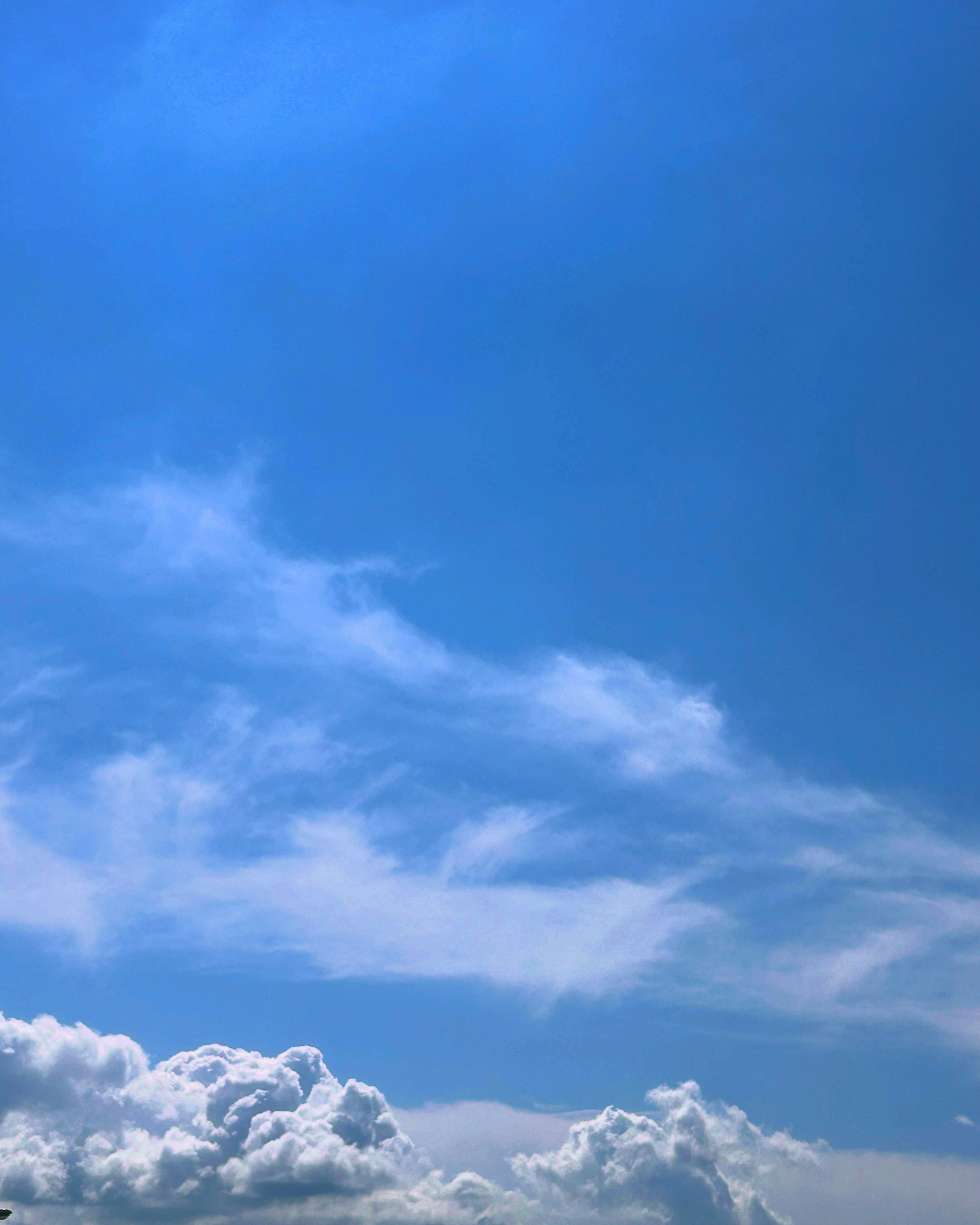 青空と白い雲が広がる風景