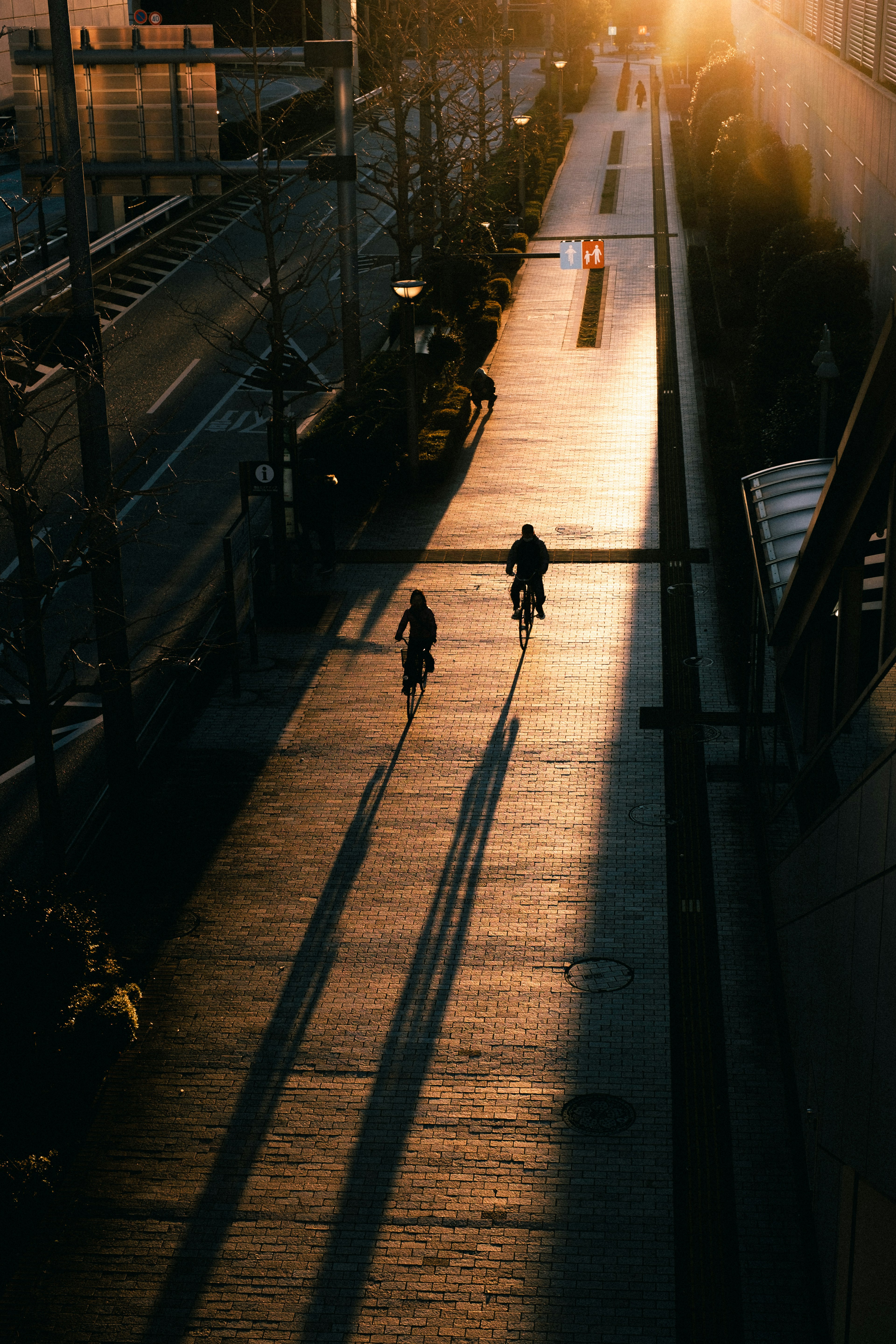 夕日が差し込む舗装された歩道を自転車で走る二人の影