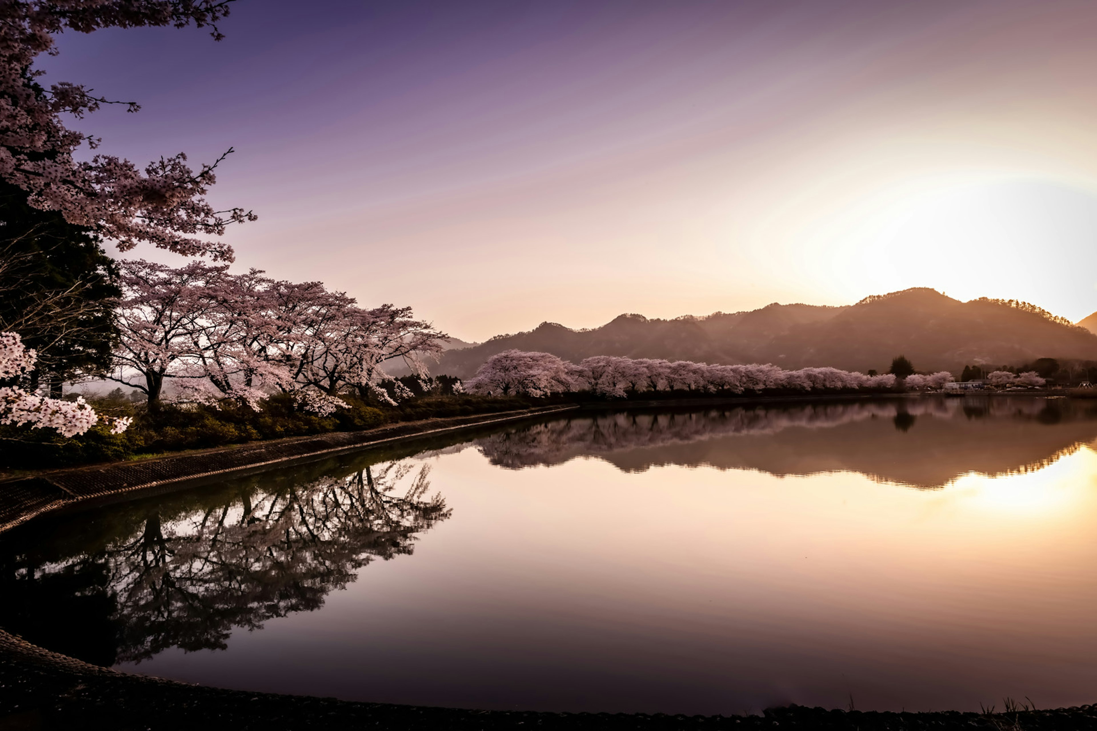 Vista serena de un lago con cerezos en flor y siluetas de montañas