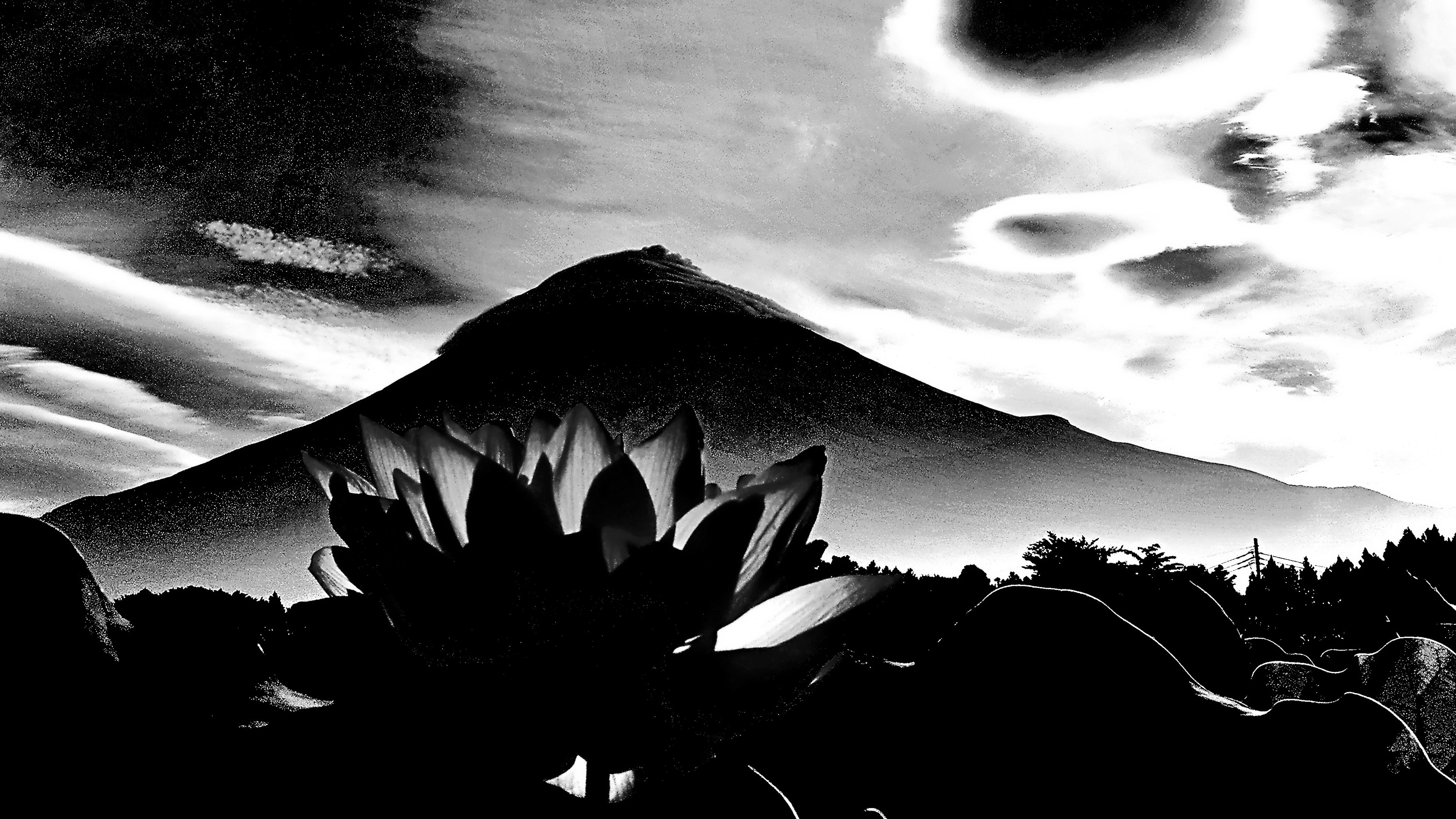 Paisaje en blanco y negro con silueta de montaña y plantas en primer plano contrastantes