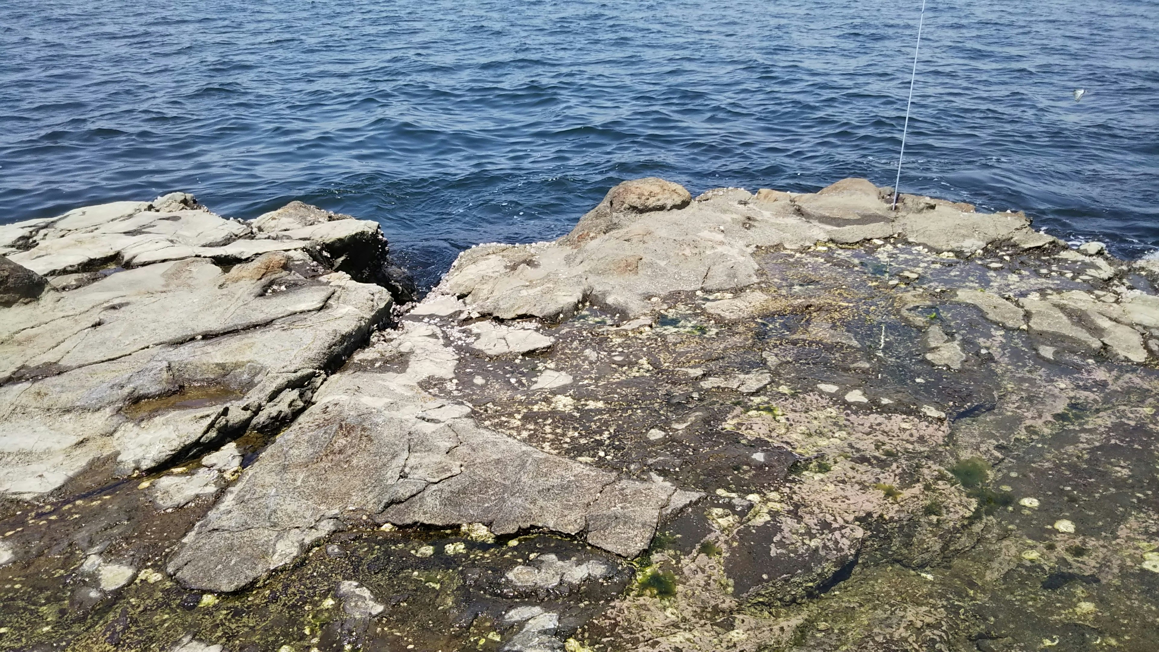 Rocky shoreline near calm water