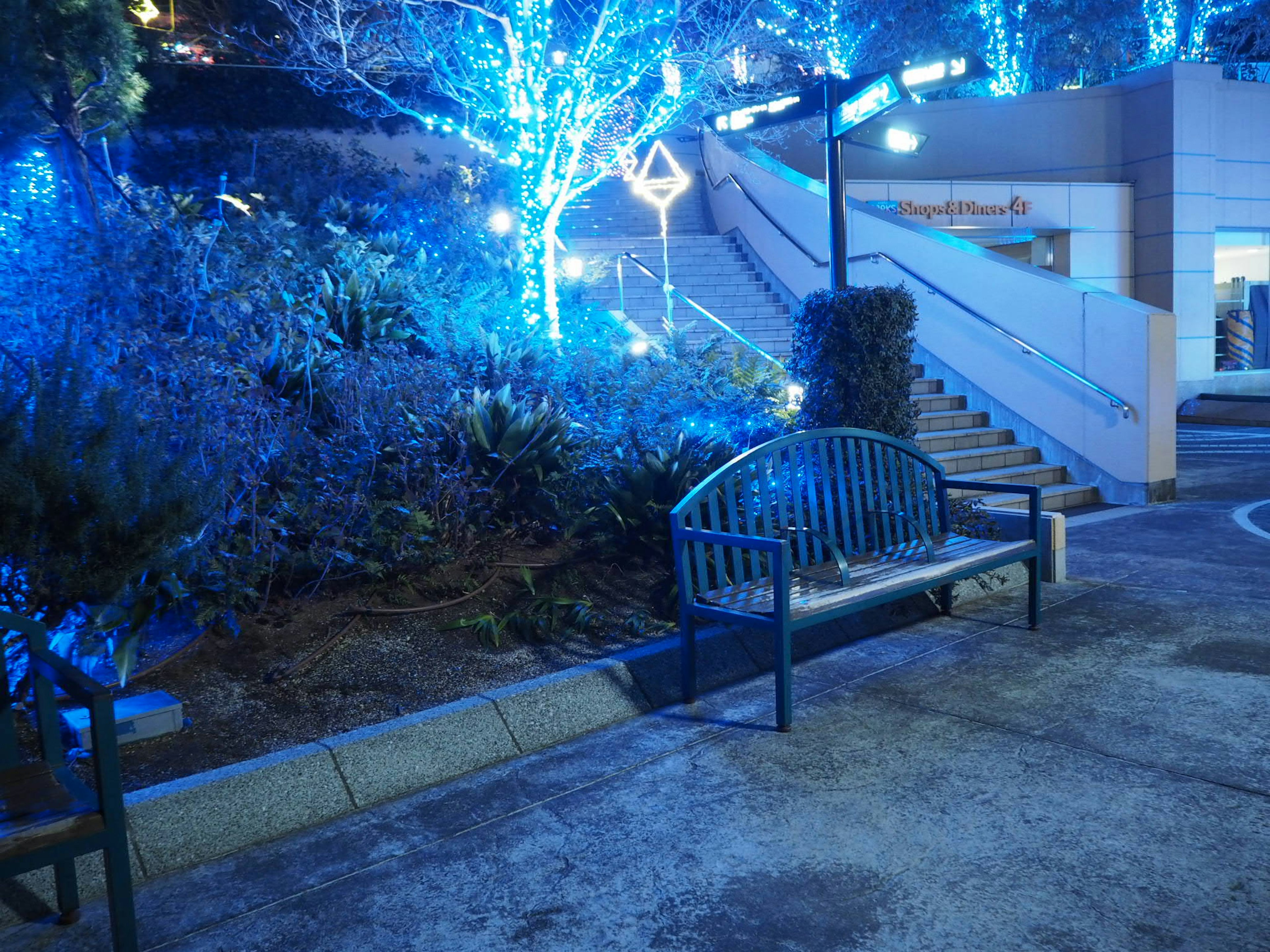 Park bench illuminated by blue lights with nearby stairs