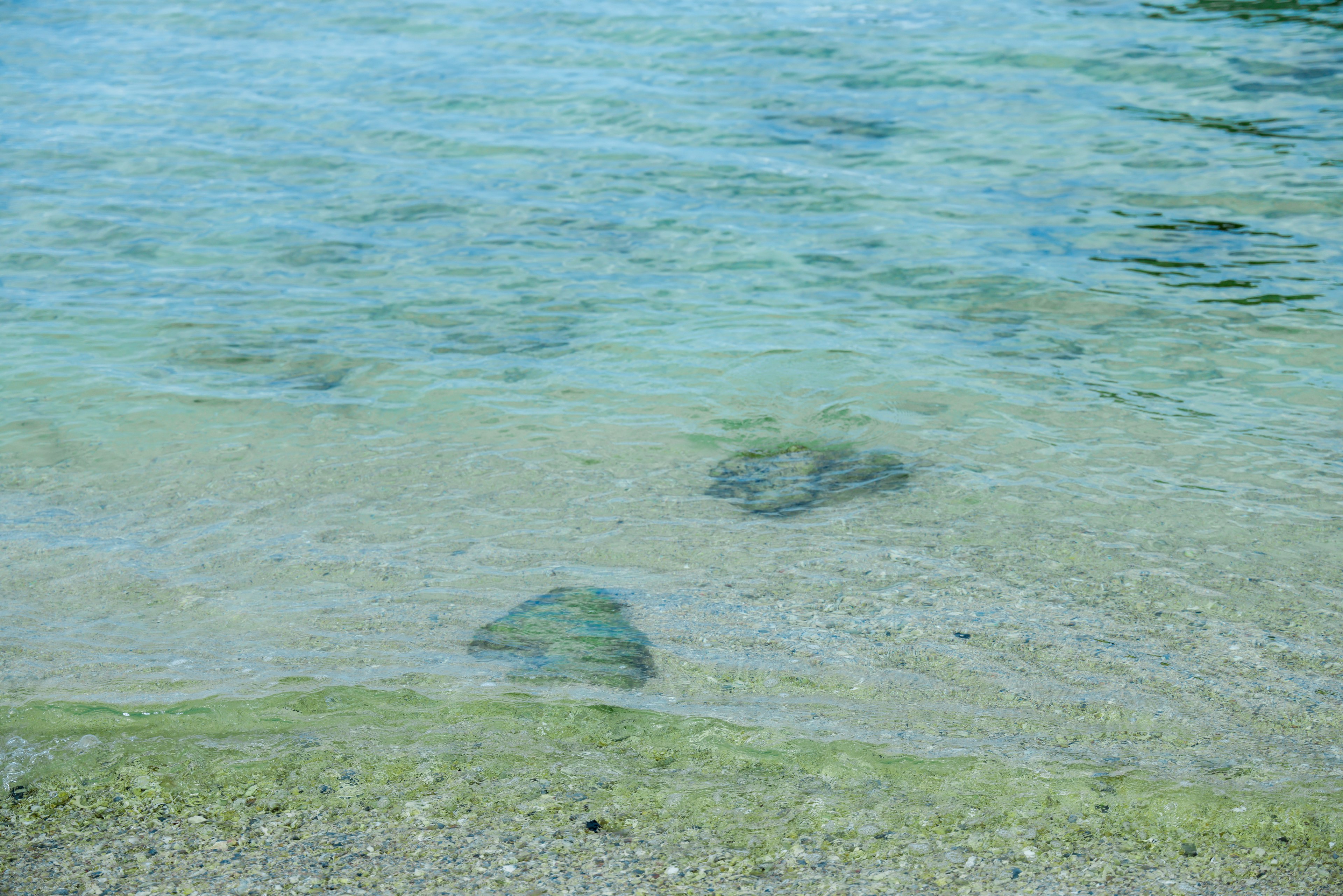 Felsen und Sand sichtbar im klaren Wasser