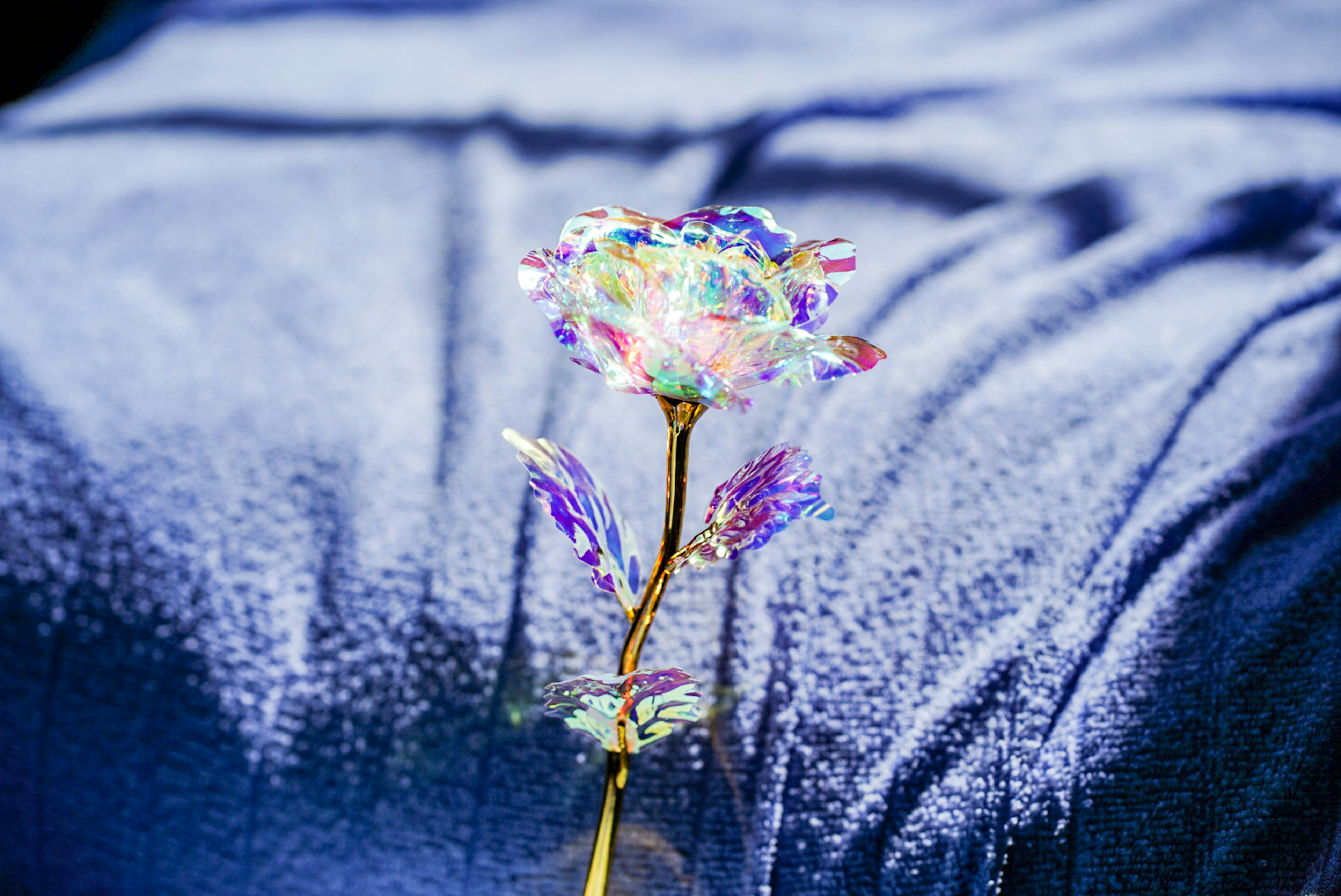 鮮やかな色合いの花が金色の茎に立っている背景に青い布