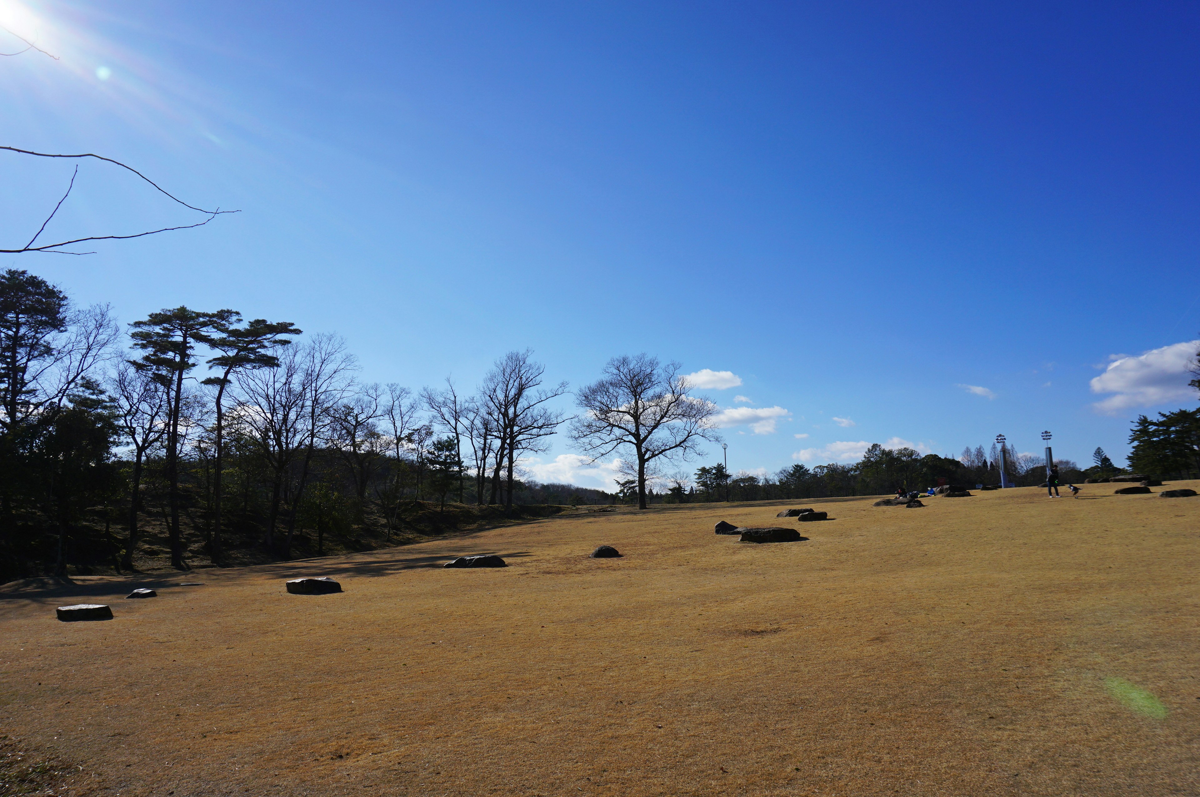 Landschaft mit blauem Himmel und trockener Grasfläche mit verstreuten Pflanzen