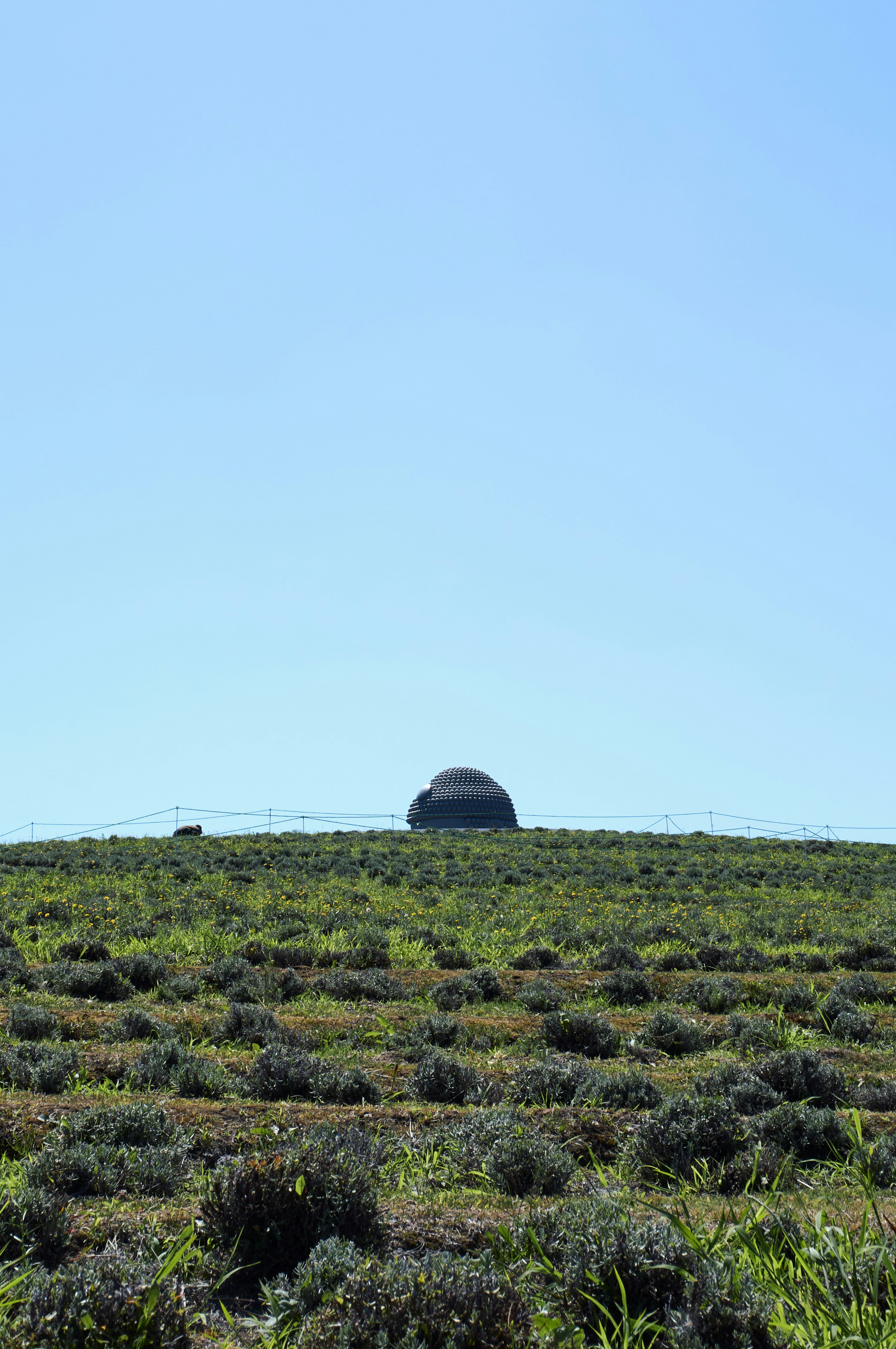 Grüne Felder unter einem blauen Himmel mit einem kuppelförmigen Gebäude in der Ferne