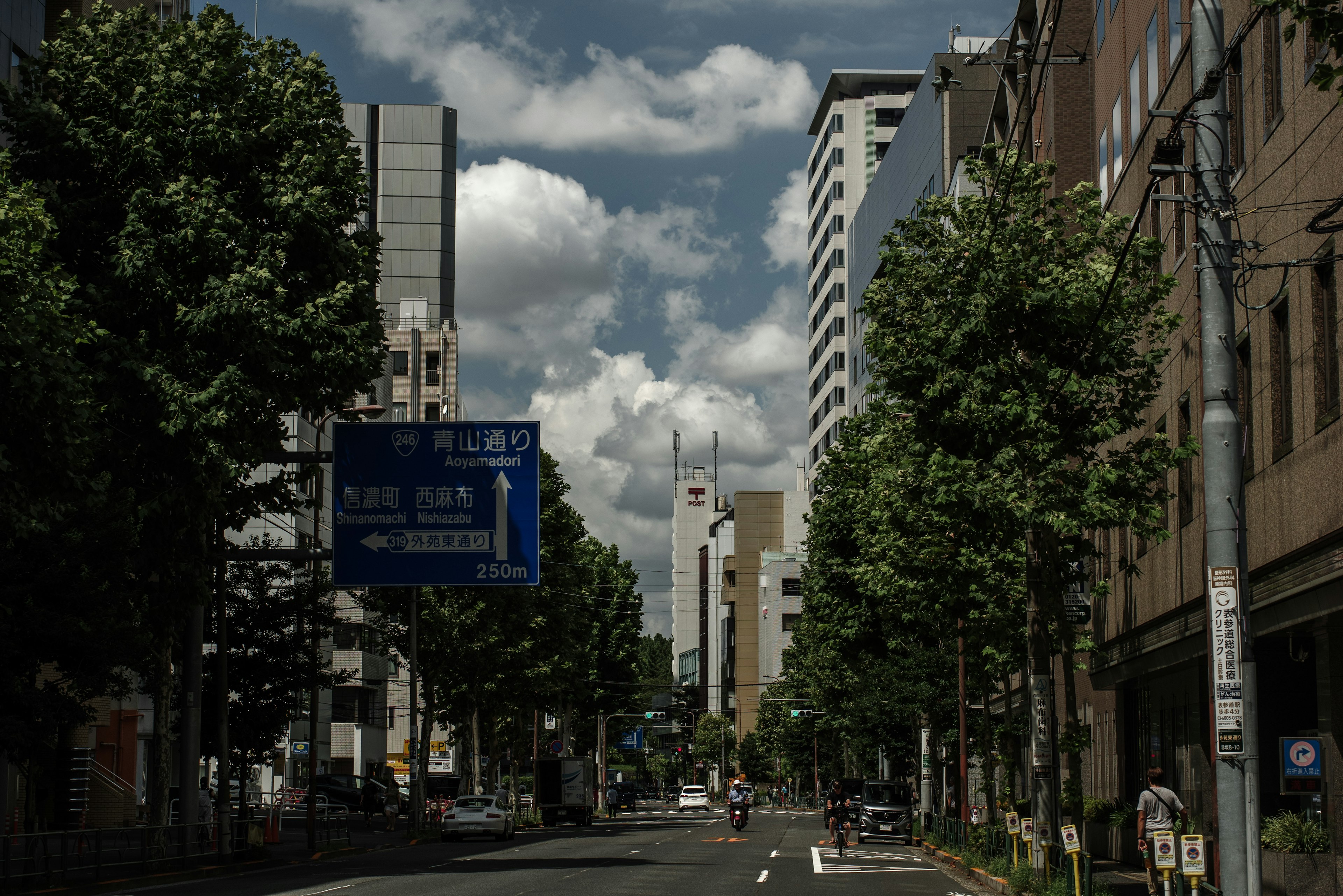 城市风景，街道旁的树木和高楼大厦，阴云密布的天空