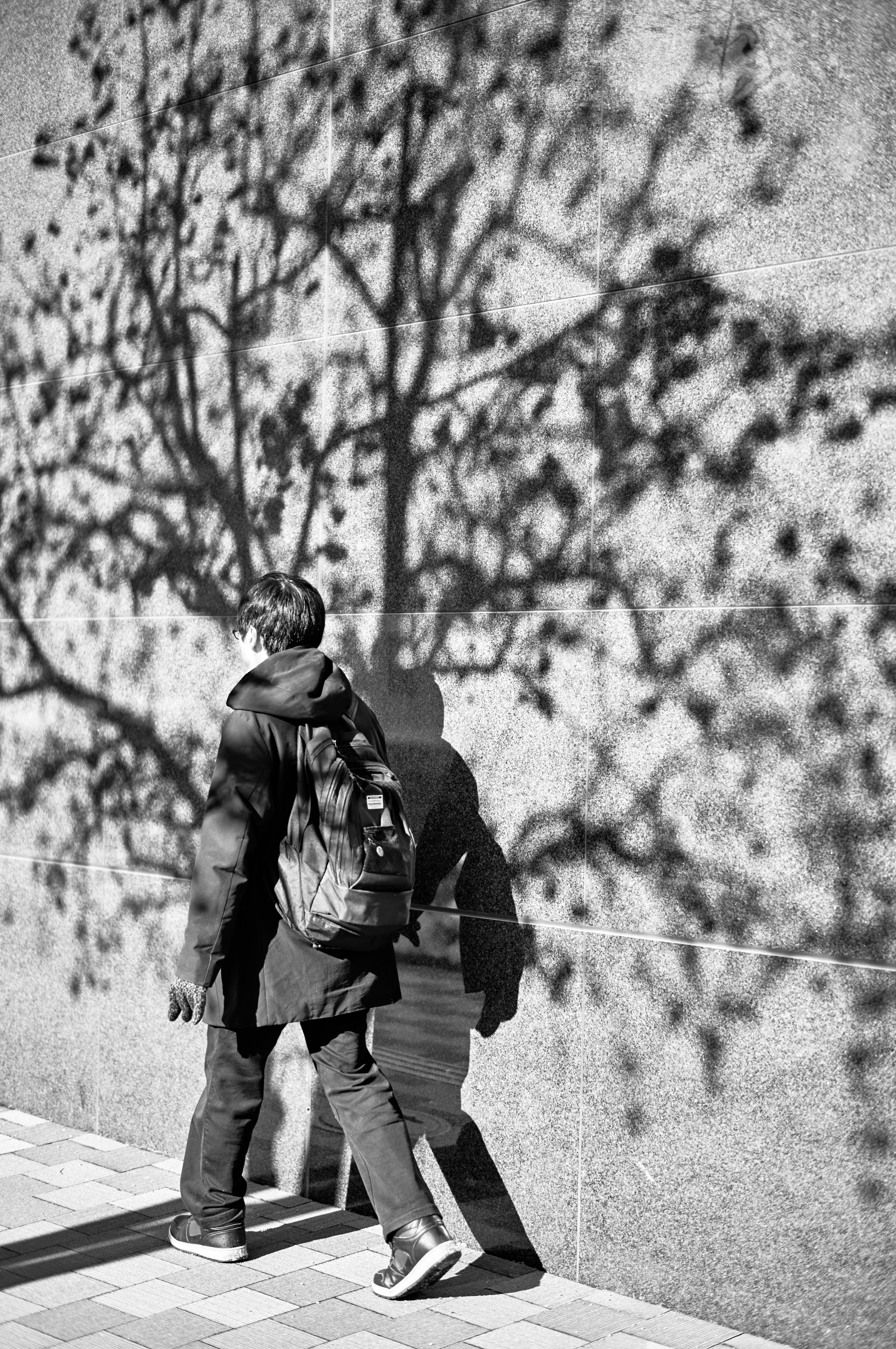 Una persona apoyada contra una pared con la sombra de un árbol proyectada sobre ella