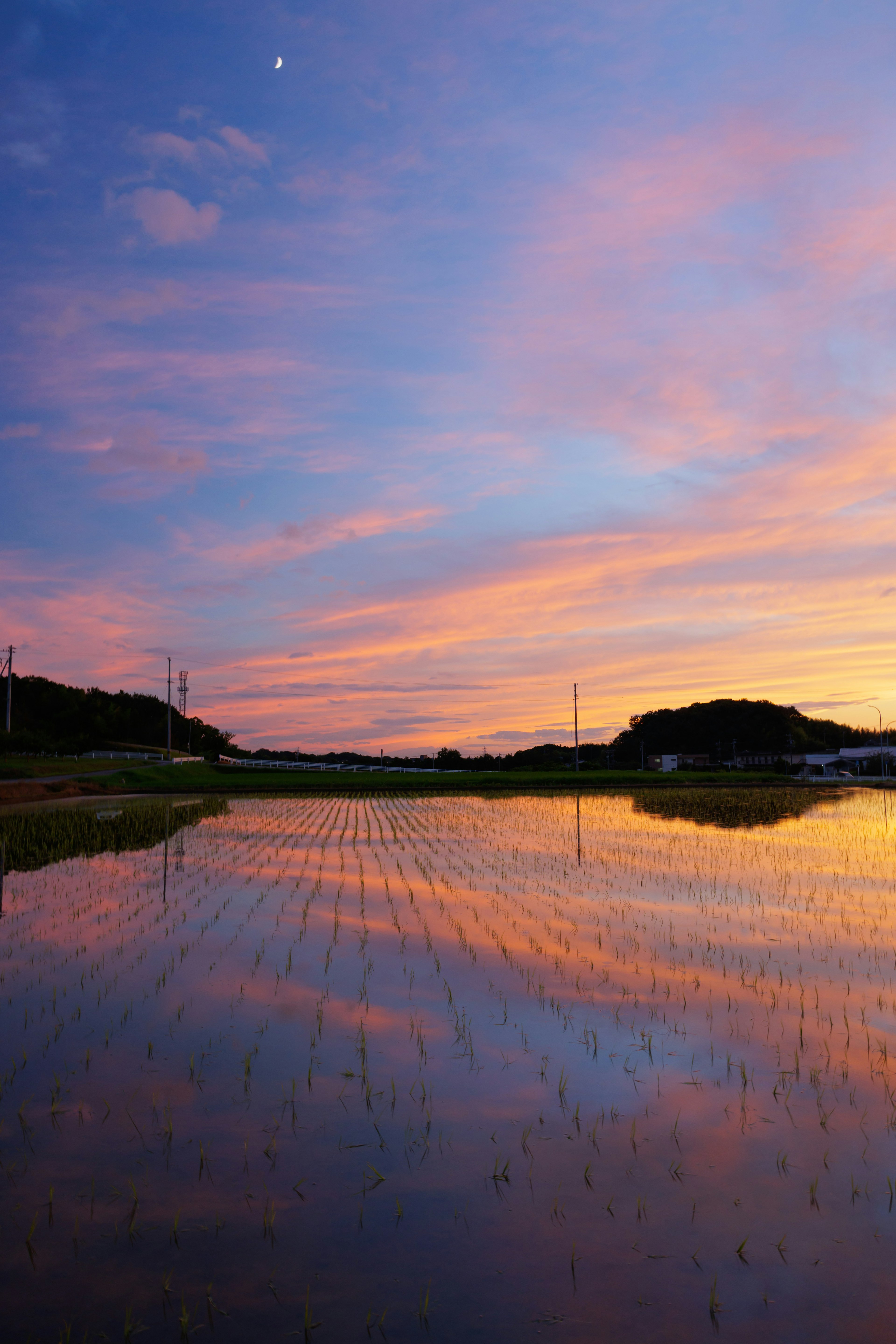 Hermoso cielo de atardecer reflejándose en un campo de arroz