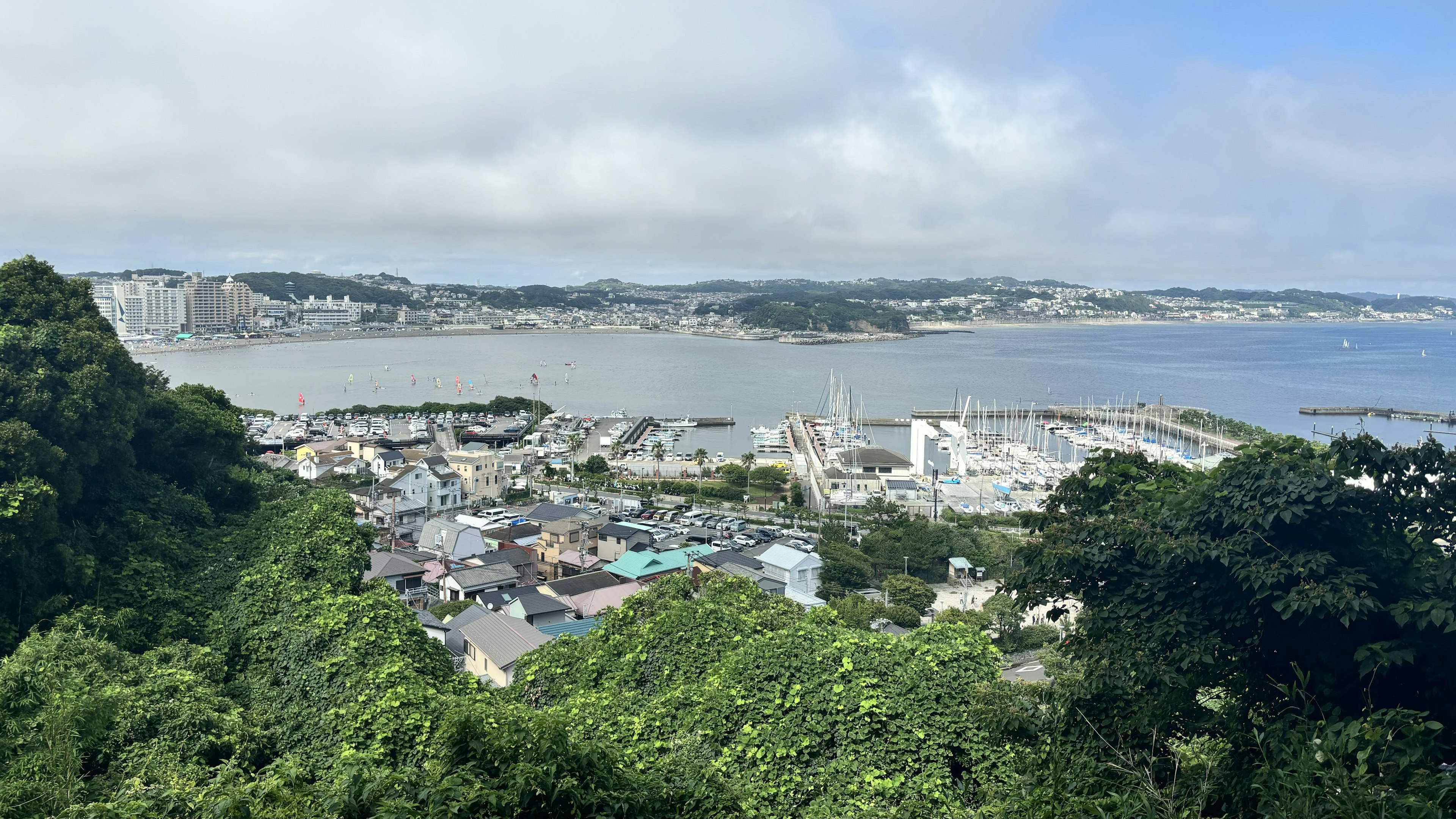 A panoramic view of a coastal town and harbor from a hillside