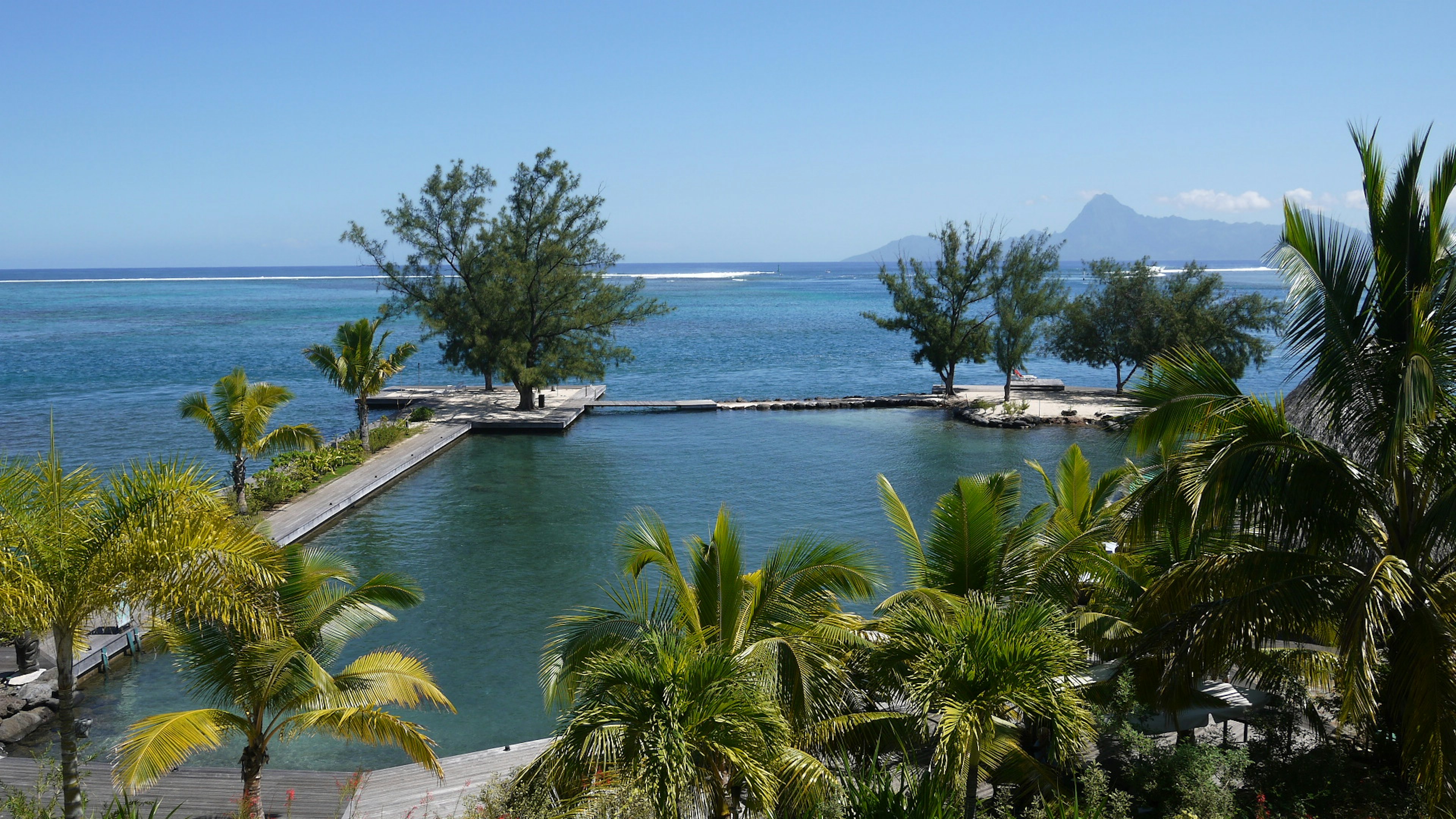 Tropical resort view with blue ocean and lush greenery