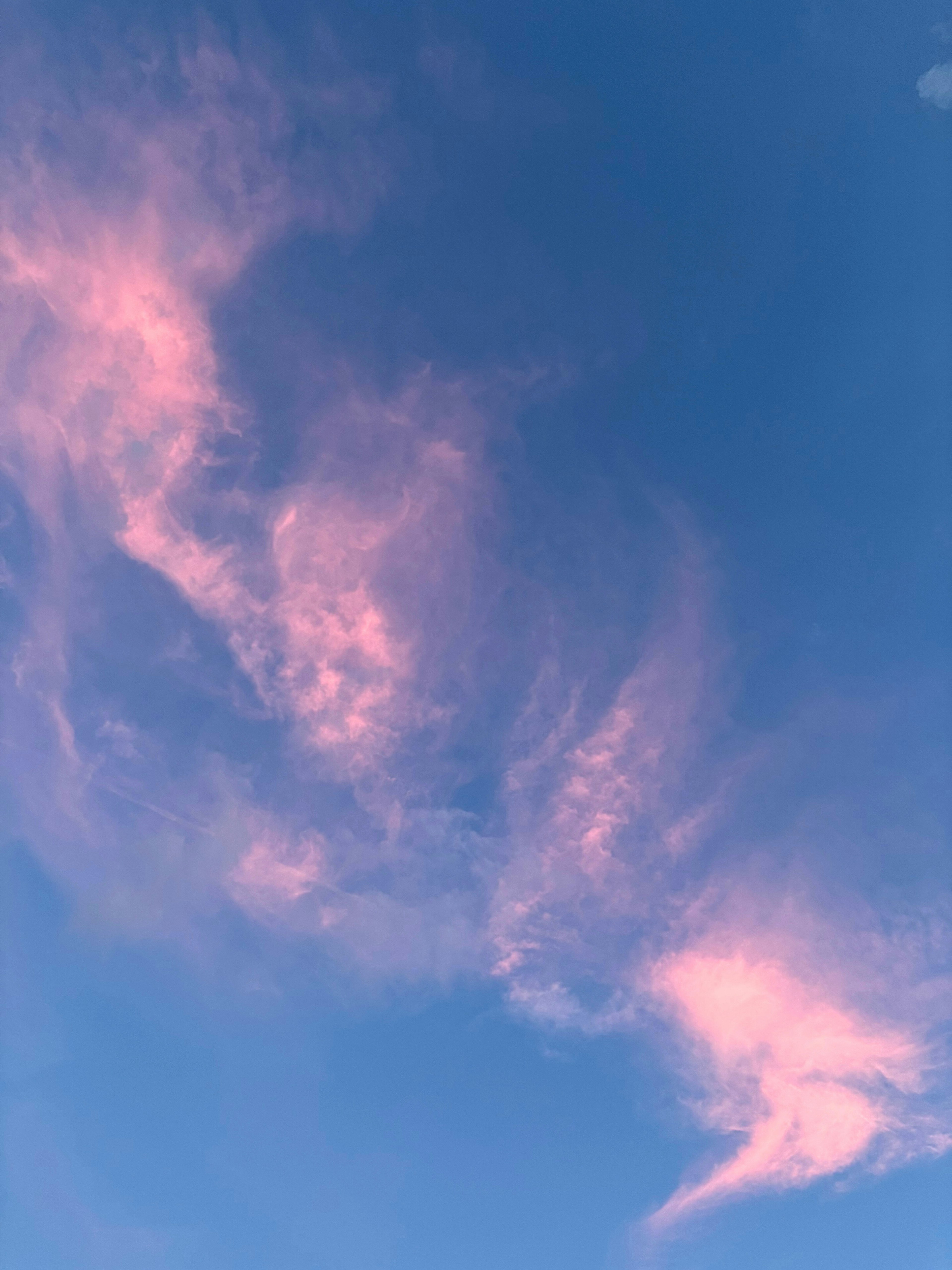 Soft pink clouds in a blue sky