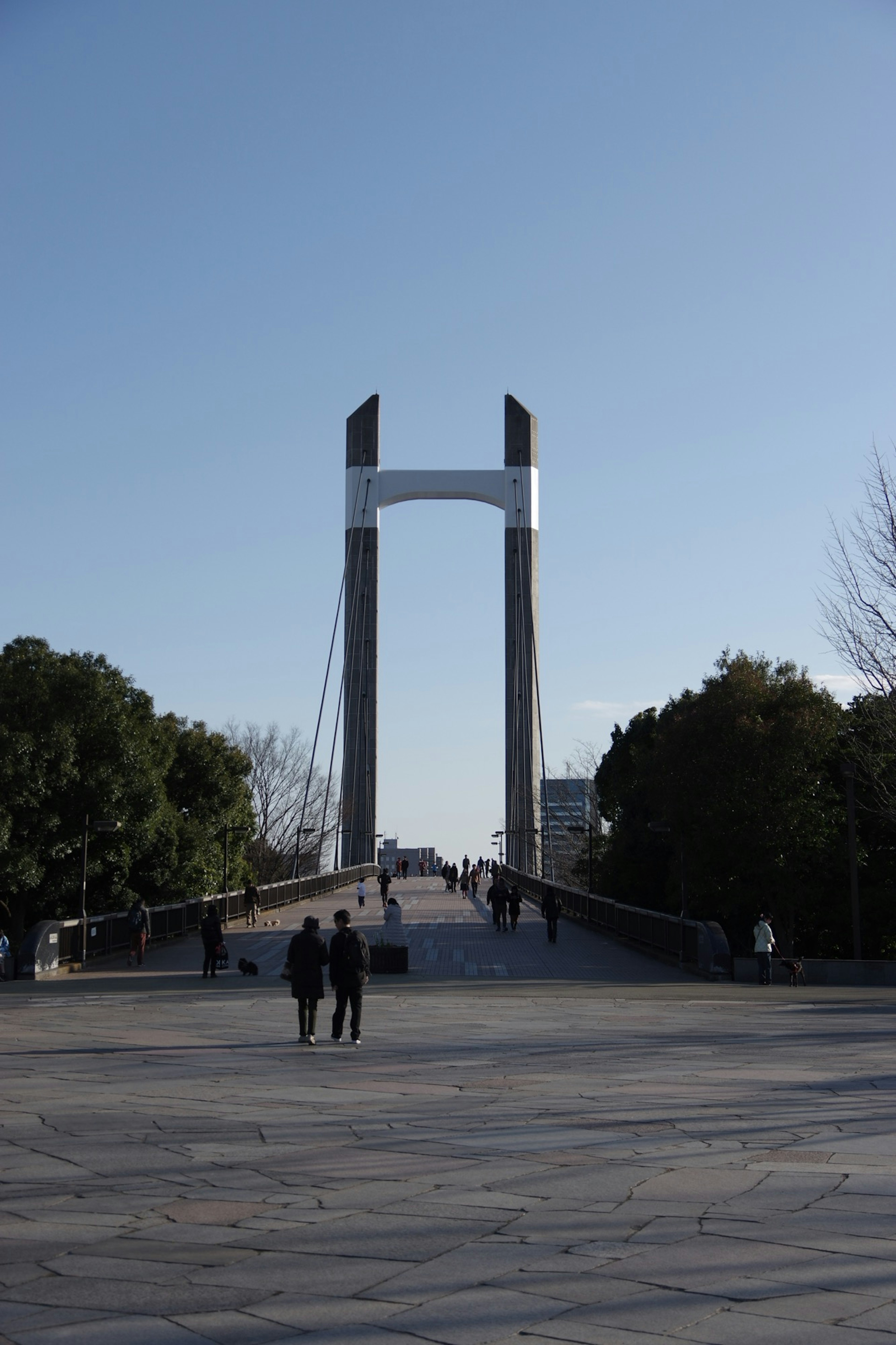 青空の下にある現代的なデザインの吊り橋と人々