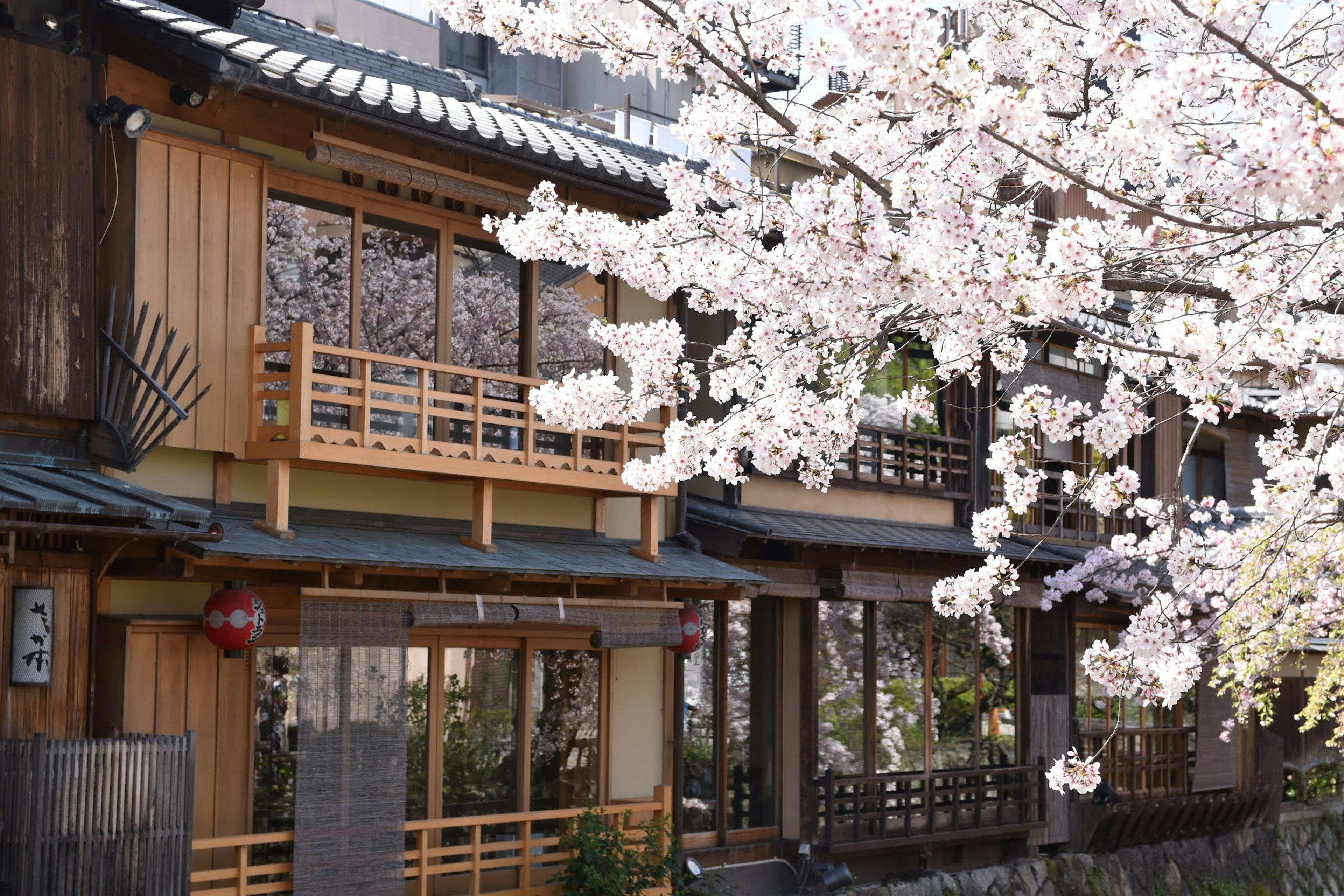 Edificio giapponese tradizionale sotto alberi di ciliegio in fiore con un paesaggio bellissimo