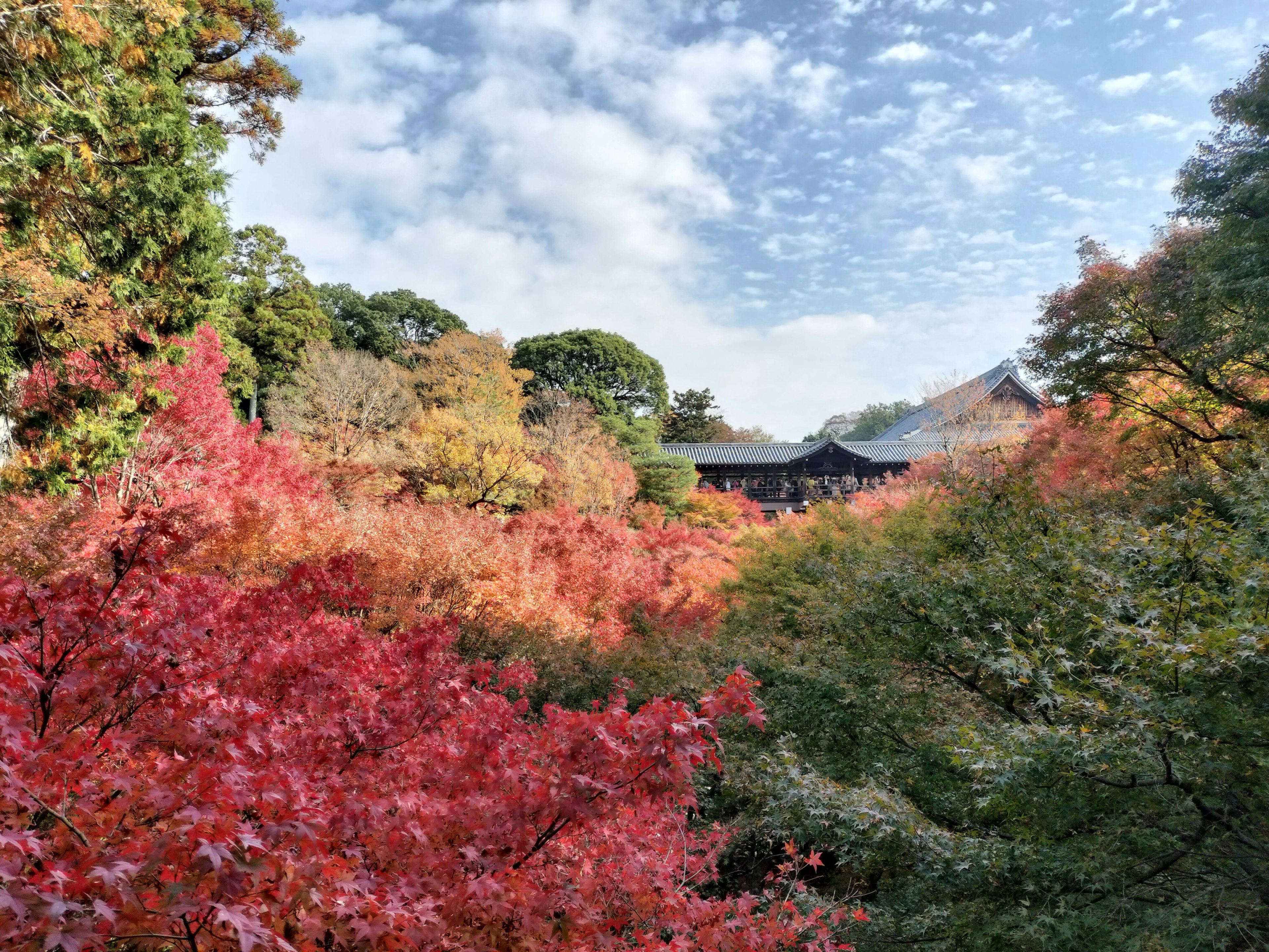 Bâtiment traditionnel japonais entouré de feuillage d'automne vibrant et ciel bleu