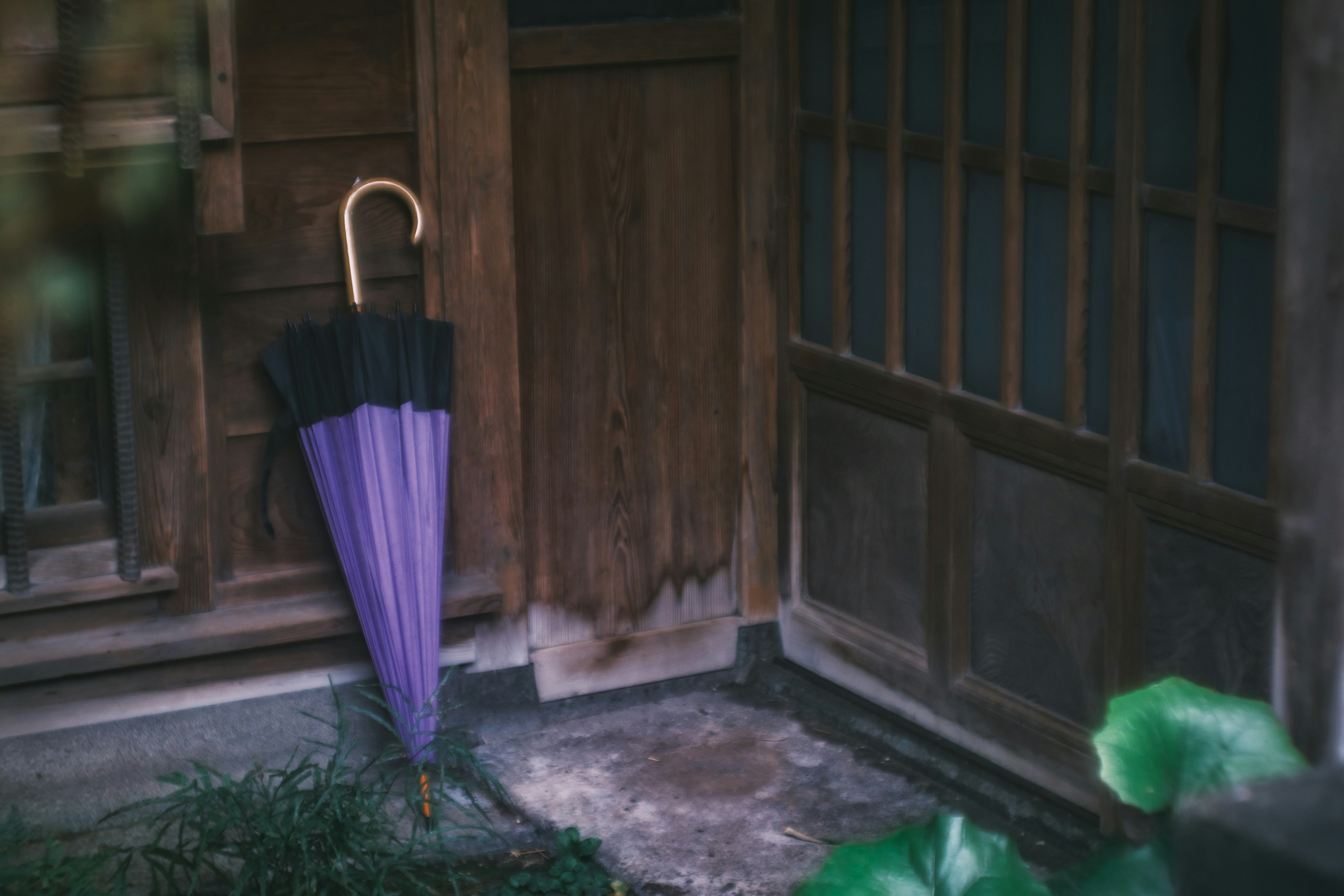 A purple and black umbrella leaning against an old wooden door